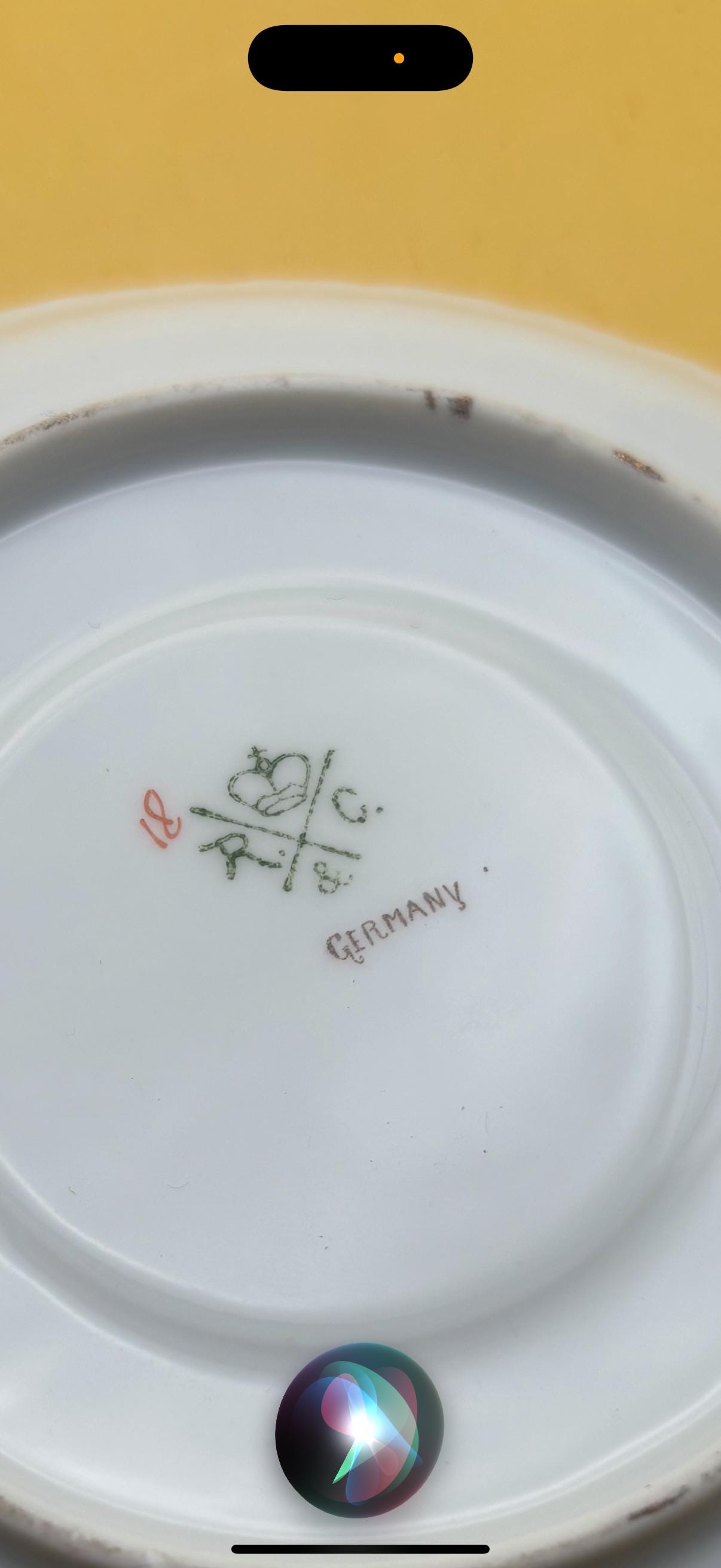 Vintage Porcelain with Gold Gilding Tea Cup and Saucer R & C Made in Germany Cup is Number 81 Saucer Number 84 Lover Antiques and Vintage