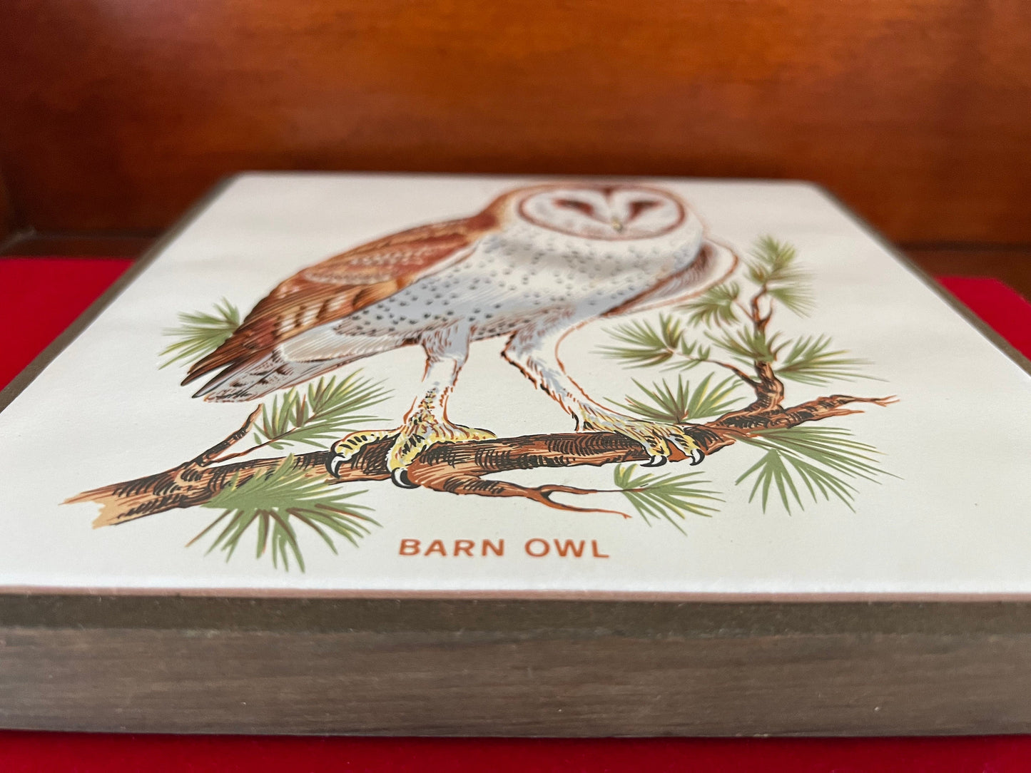 Vintage Barn Owl Tile on Wood Wall Hanging, Plaque Owl With Hook, Lover Antiques and Vintage