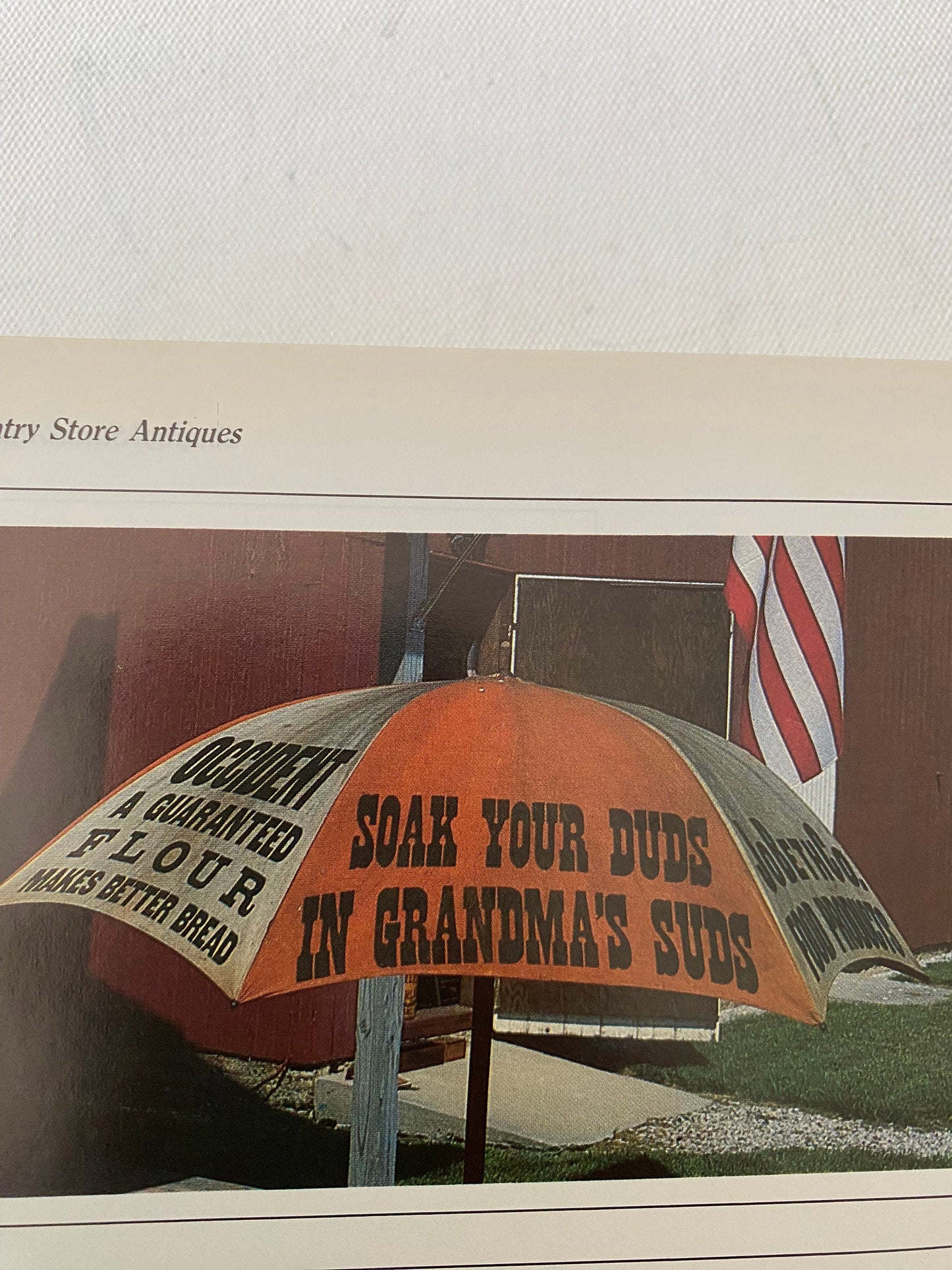 Collector’s Guide to Country Store Antiques Book, by Don and Carol Raycraft, Lover Antiques and Vintage
