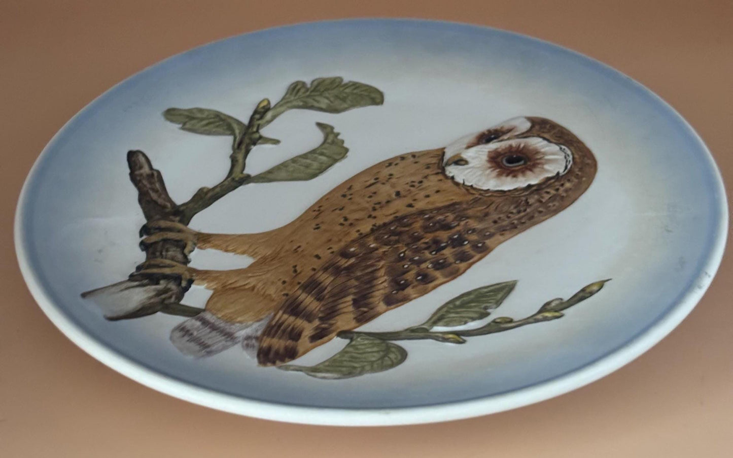 Vintage Goebel Owl Plate Wall Hanging Art West Germany Lover Antiques and Vintage