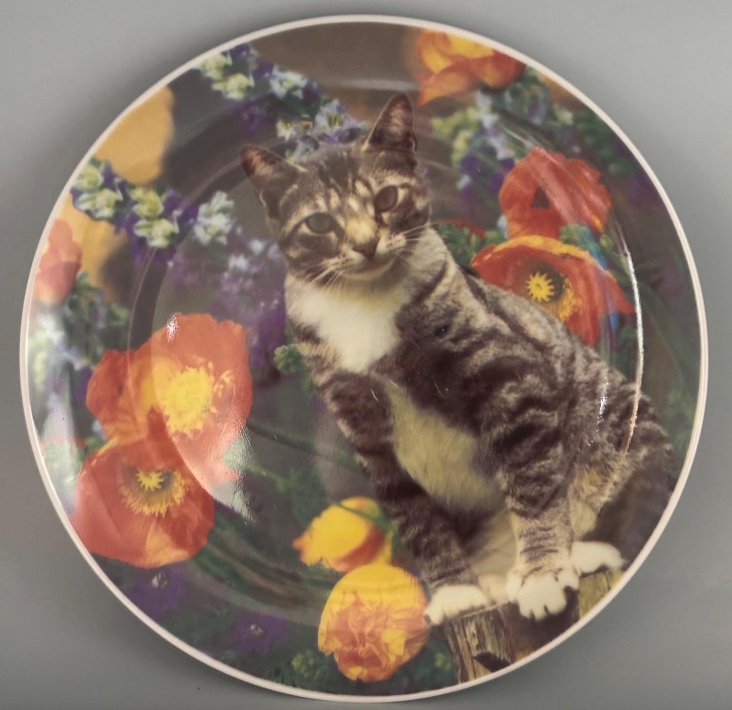 Vintage Tabby Cat Collection Plate Lover Antiques and Vintage