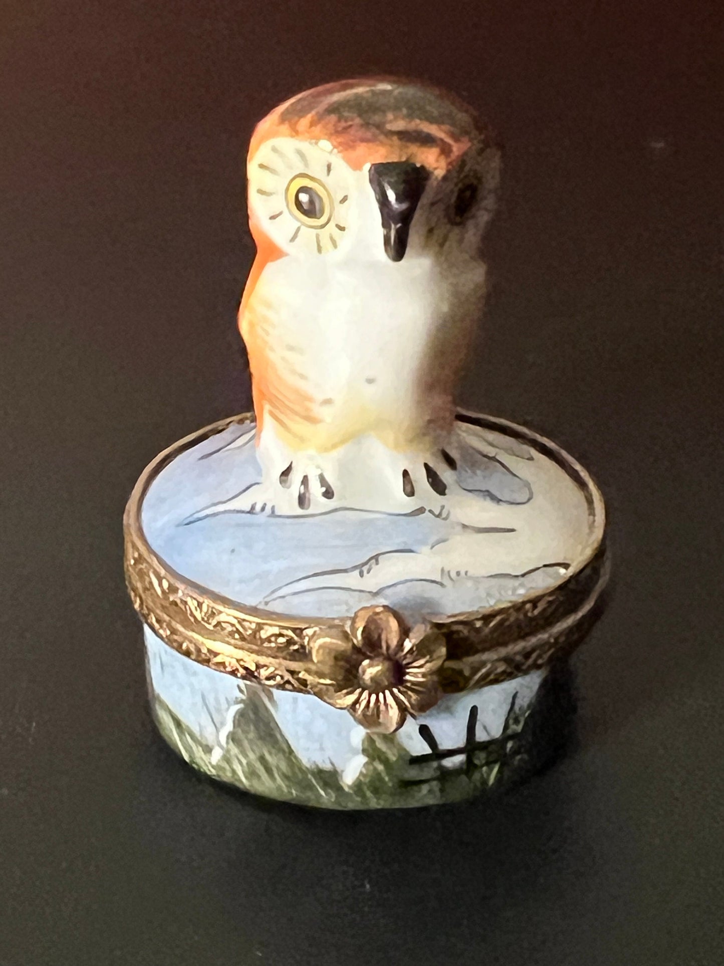 Vintage Limoges Owl Trinket Box: Chamart Peint Main Porcelain