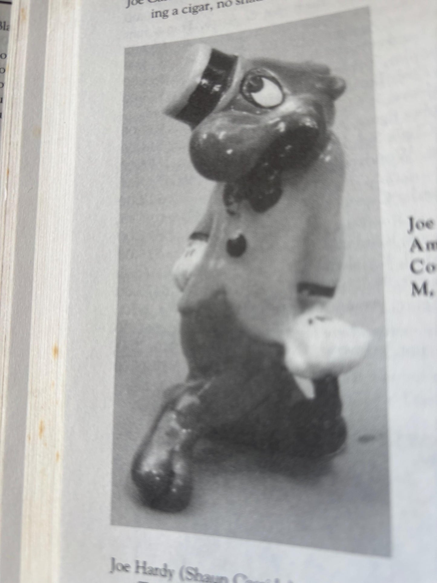 Schroeders Collectible Toys Book, Antique to Modern Toy Guide, Lover Antiques and Vintage