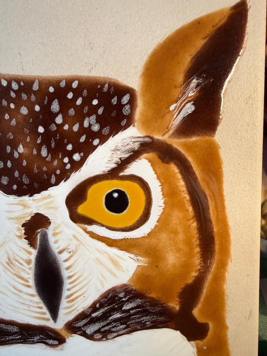 Vintage Ceramic Owl Trivet, Handpainted Brown Yellow 8 Inch Rustic Kitchen Decor