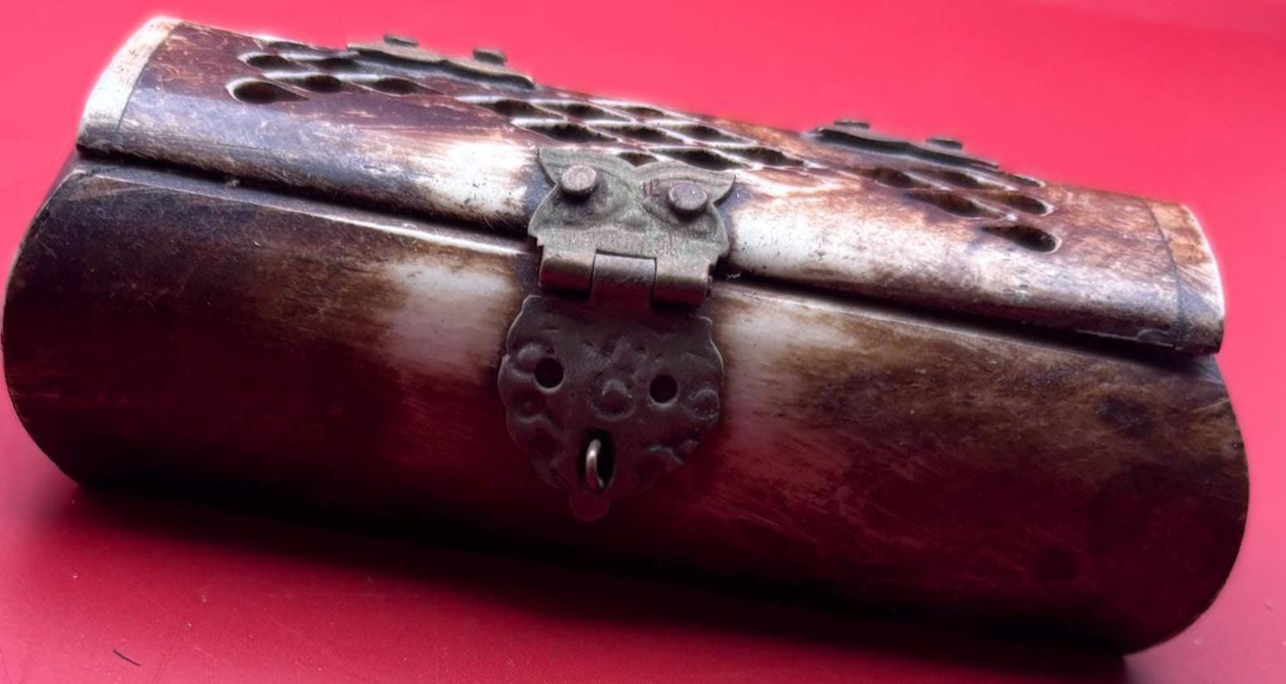 Vintage Camel Bone and Brass Trinket Box with Owl Hinges