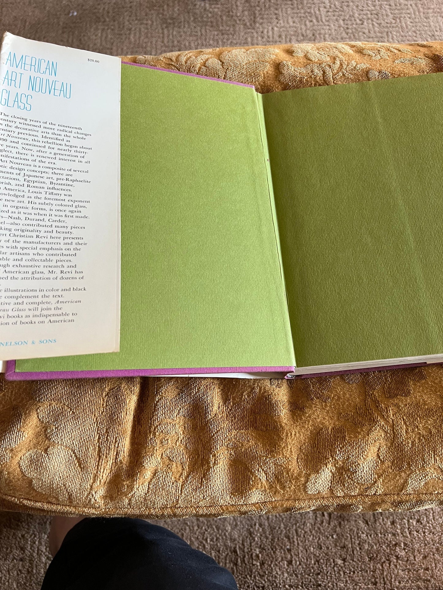 American Art Nouveau Glass Book by Revi, First Edition