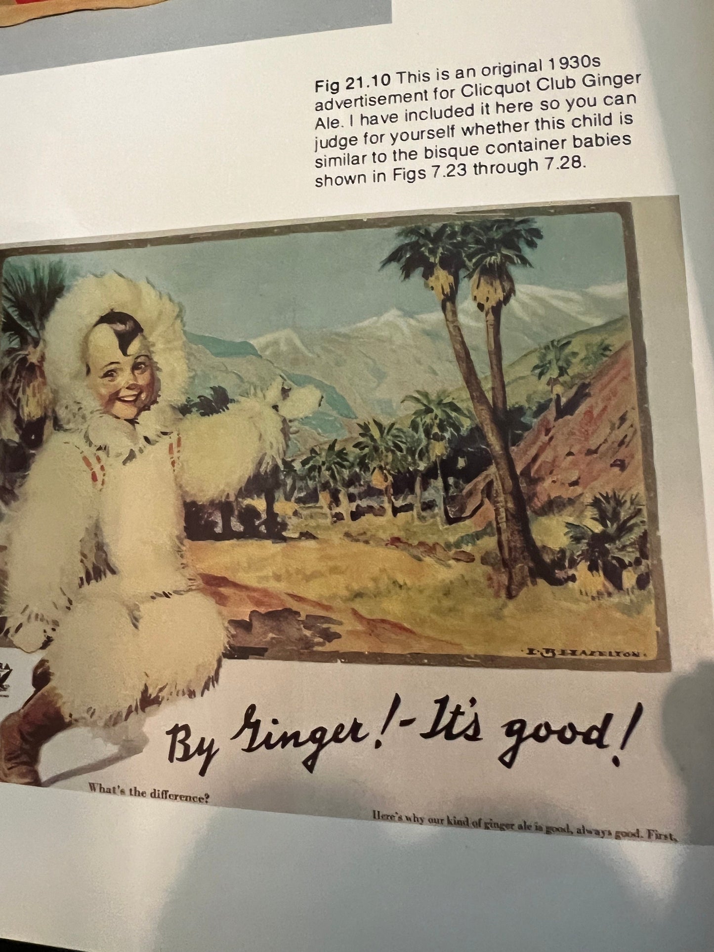 Snow Babies, Santas, and Elves: Collecting Christmas Bisque Figures Book