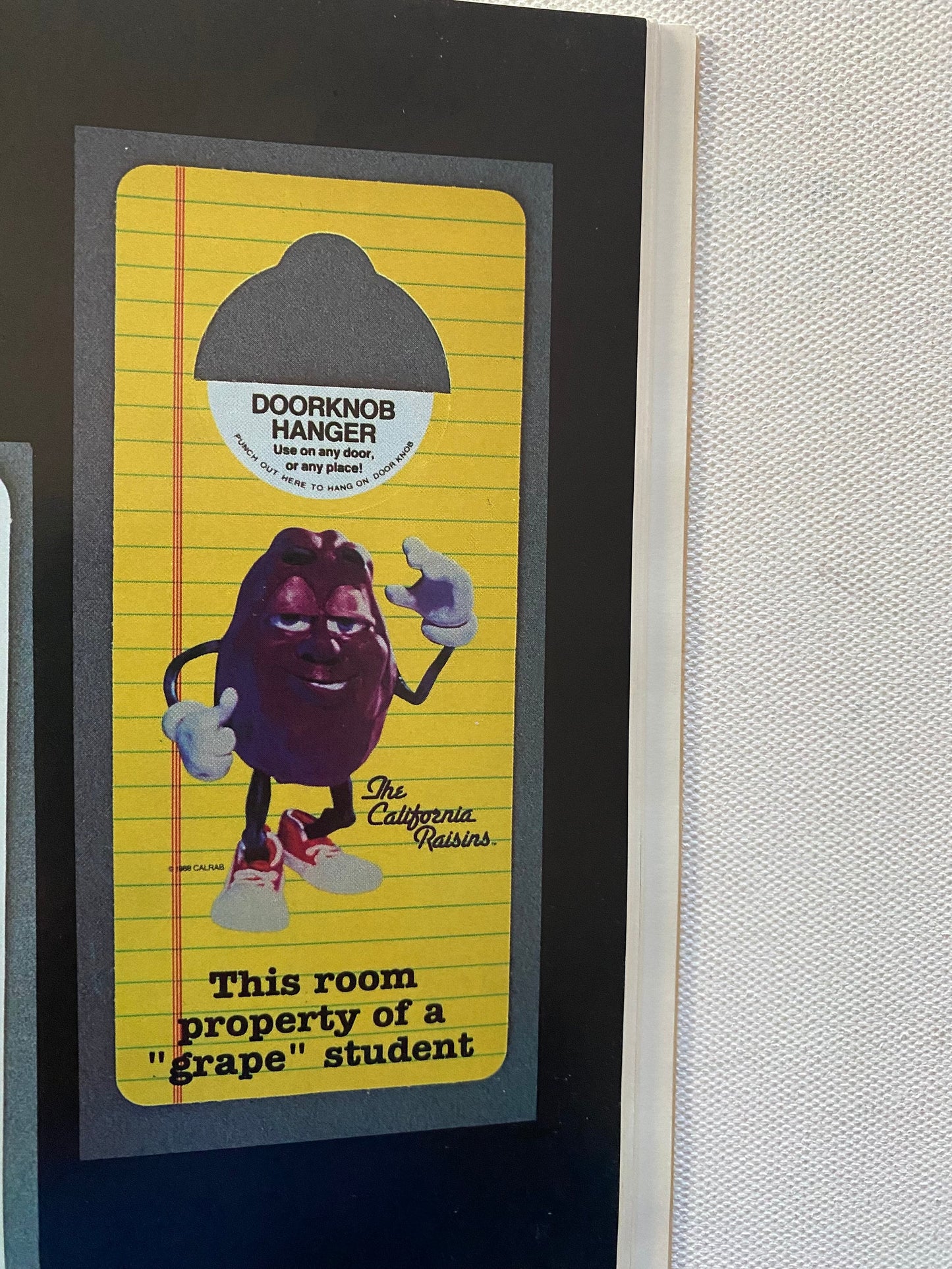 Collectible California Raisins Guide Book: Unauthorized Values