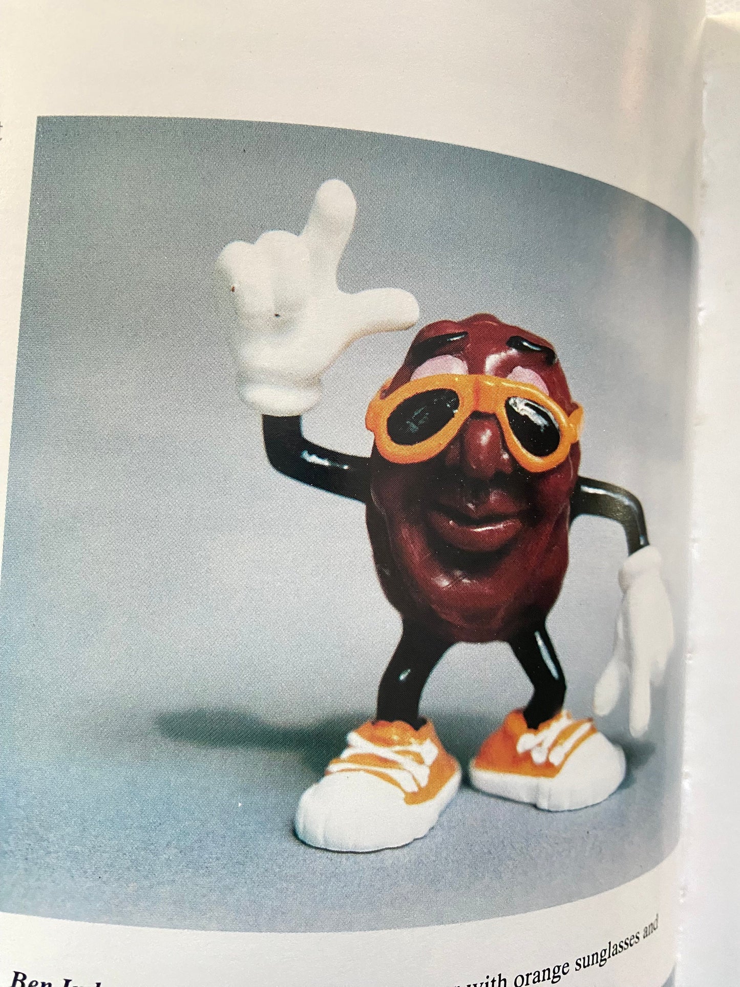 Collectible California Raisins Guide Book: Unauthorized Values