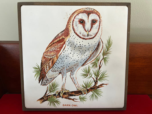 Vintage Barn Owl Tile on Wood Wall Hanging, Plaque Owl With Hook, Lover Antiques and Vintage