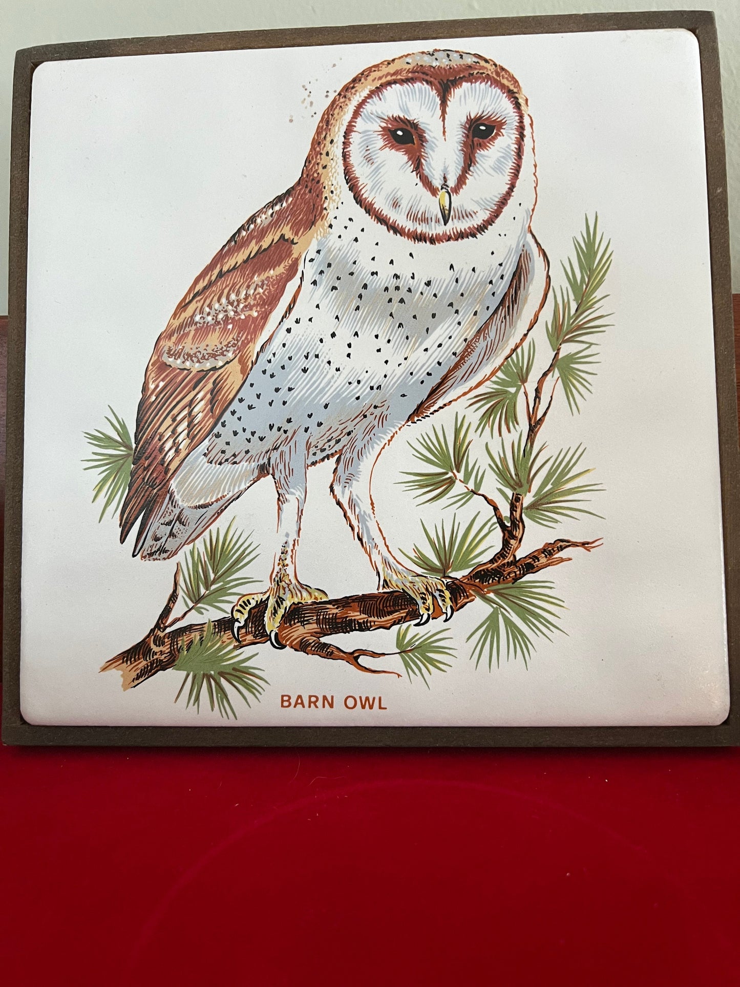 Vintage Barn Owl Tile on Wood Wall Hanging, Plaque Owl With Hook, Lover Antiques and Vintage
