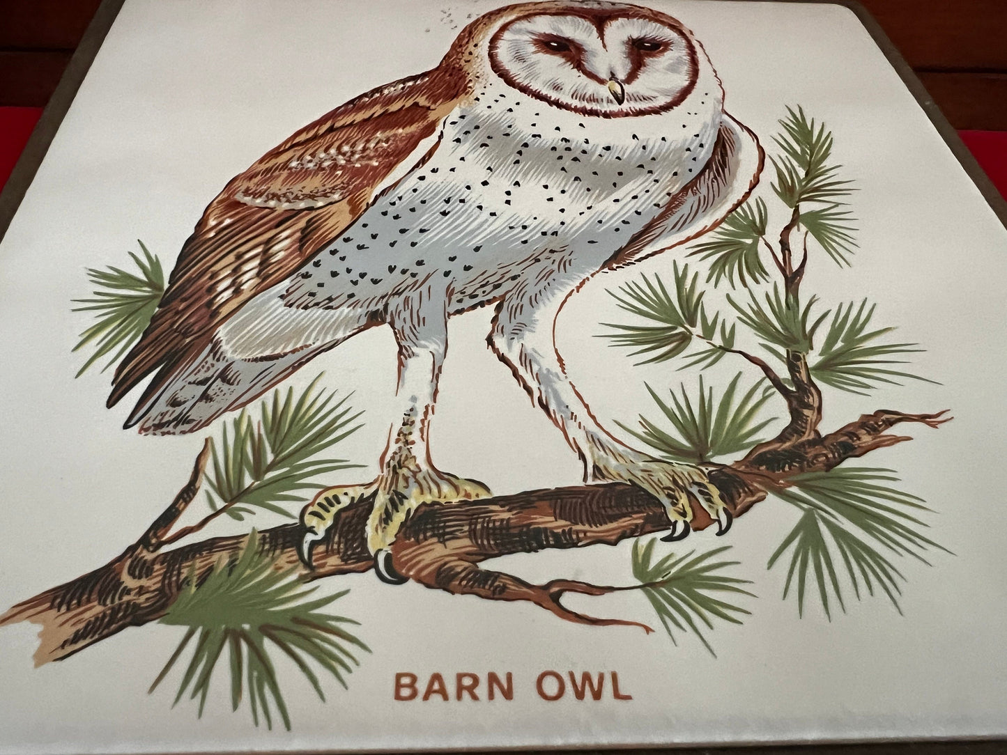 Vintage Barn Owl Tile on Wood Wall Hanging, Plaque Owl With Hook, Lover Antiques and Vintage