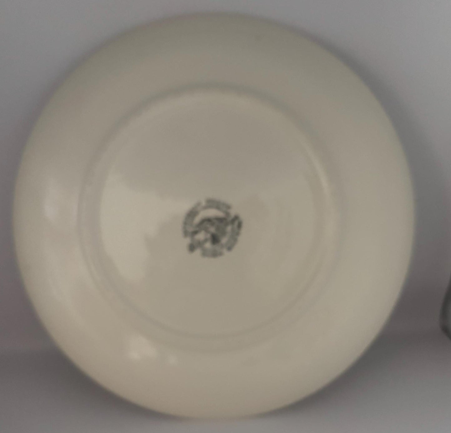 Blue Ridge Stan Home Ivy Dinner Plate, by Southern Potteries, Circa 1930's, Hearts Together Forever Platter, Lover Antiques and Vintage
