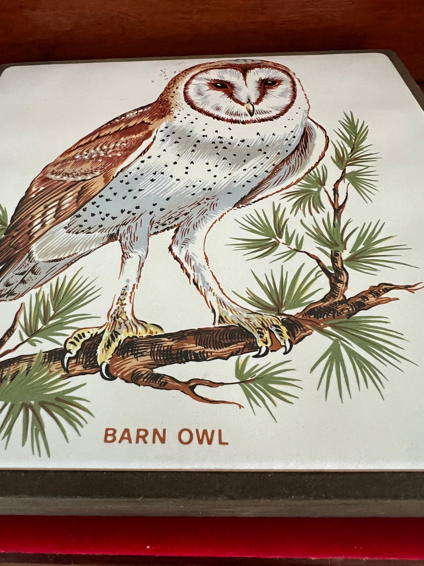 Vintage Barn Owl Tile on Wood Wall Hanging, Plaque Owl With Hook, Lover Antiques and Vintage