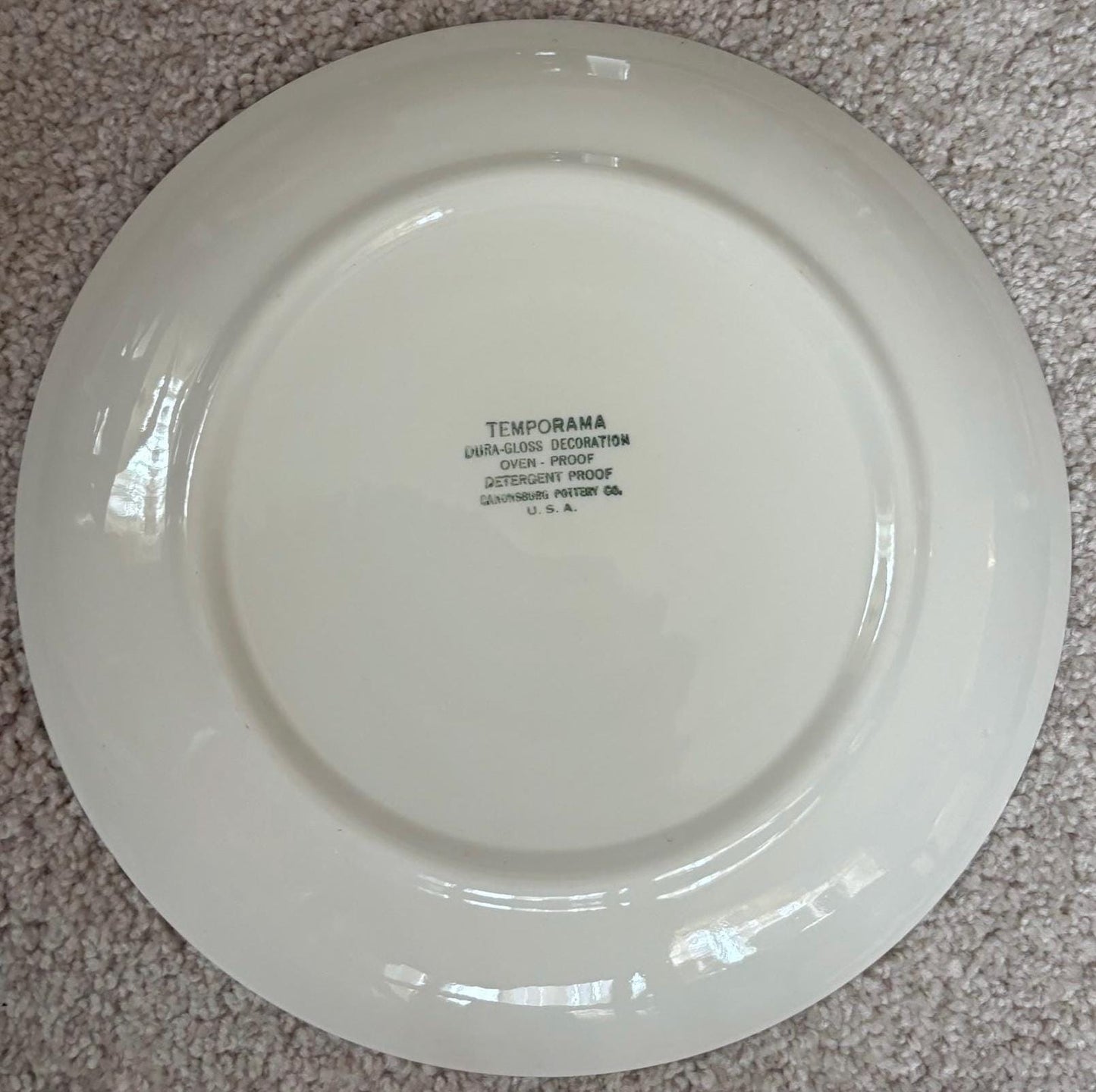 Vintage Canonsburg Pottery Dinner Plate Temporama Mid Century Large Plate Lover Antiques and Vintage