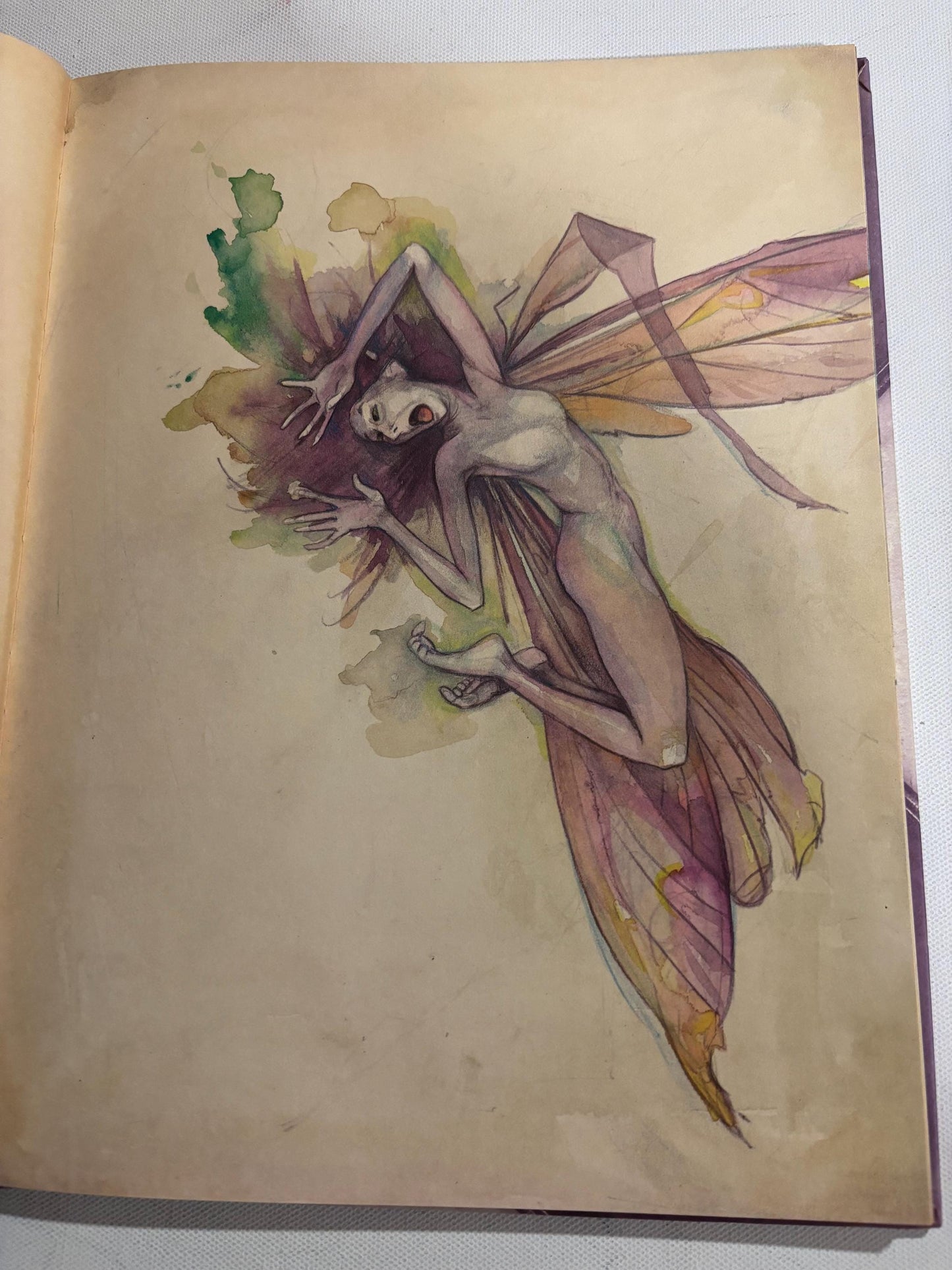 Lady Cottington's Pressed Fairy Book: Brian Froud Illustrations, Vintage Fairy Guide