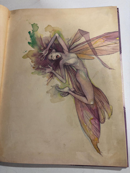 Lady Cottington's Pressed Fairy Book: Brian Froud Illustrations, Vintage Fairy Guide