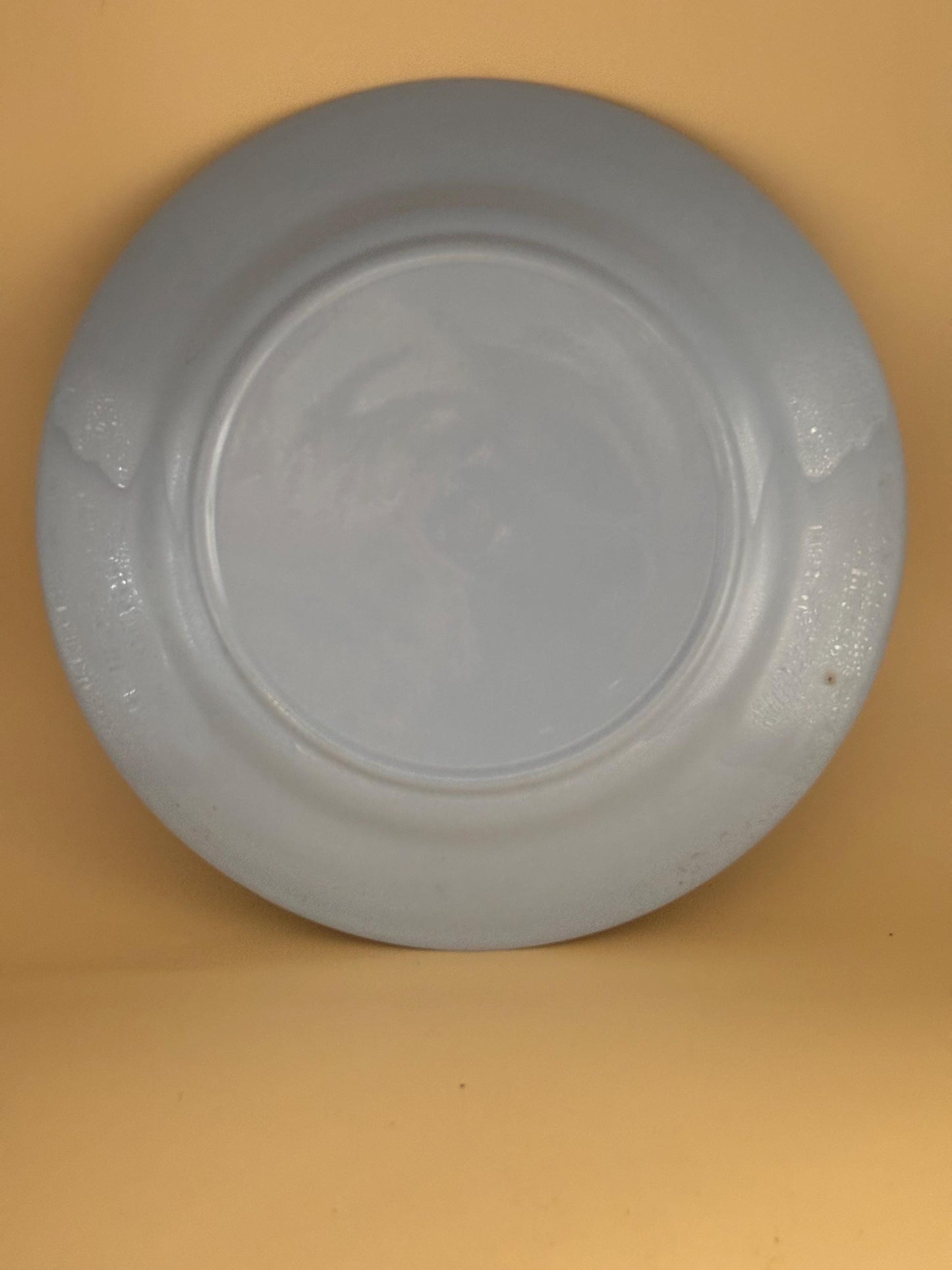 Homer Laughlin Kraft Blue Large Plate or Platter, Lover Antiques Vintage