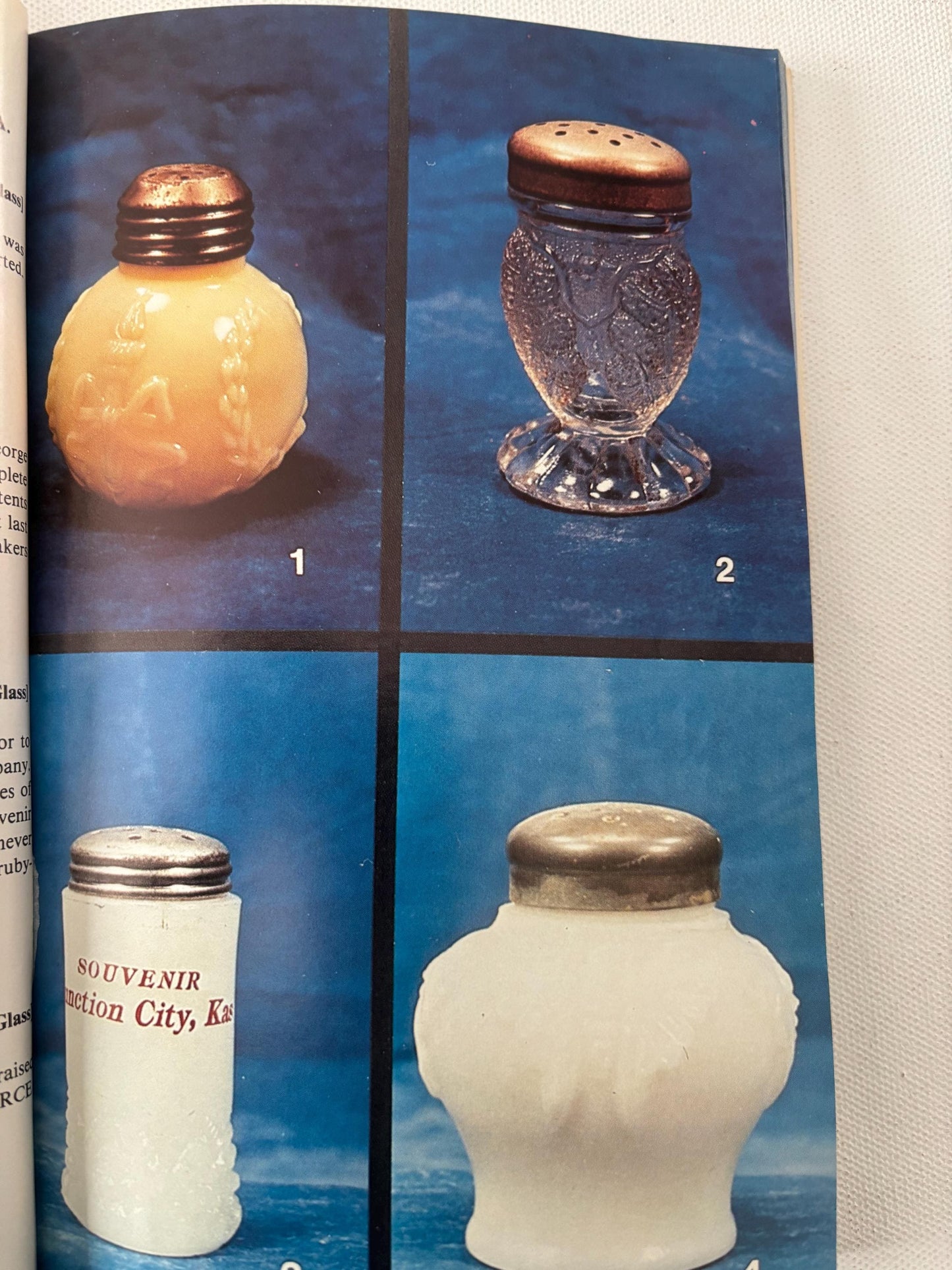 The World of Salt Shakers Book, by Mildred & Ralph Lechner, Lover Antiques and Vintage