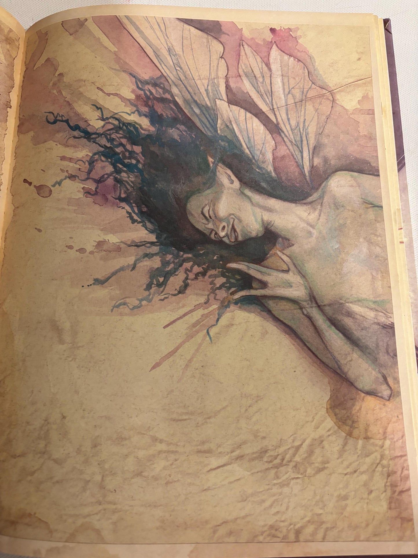 Lady Cottington's Pressed Fairy Book: Brian Froud Illustrations, Vintage Fairy Guide