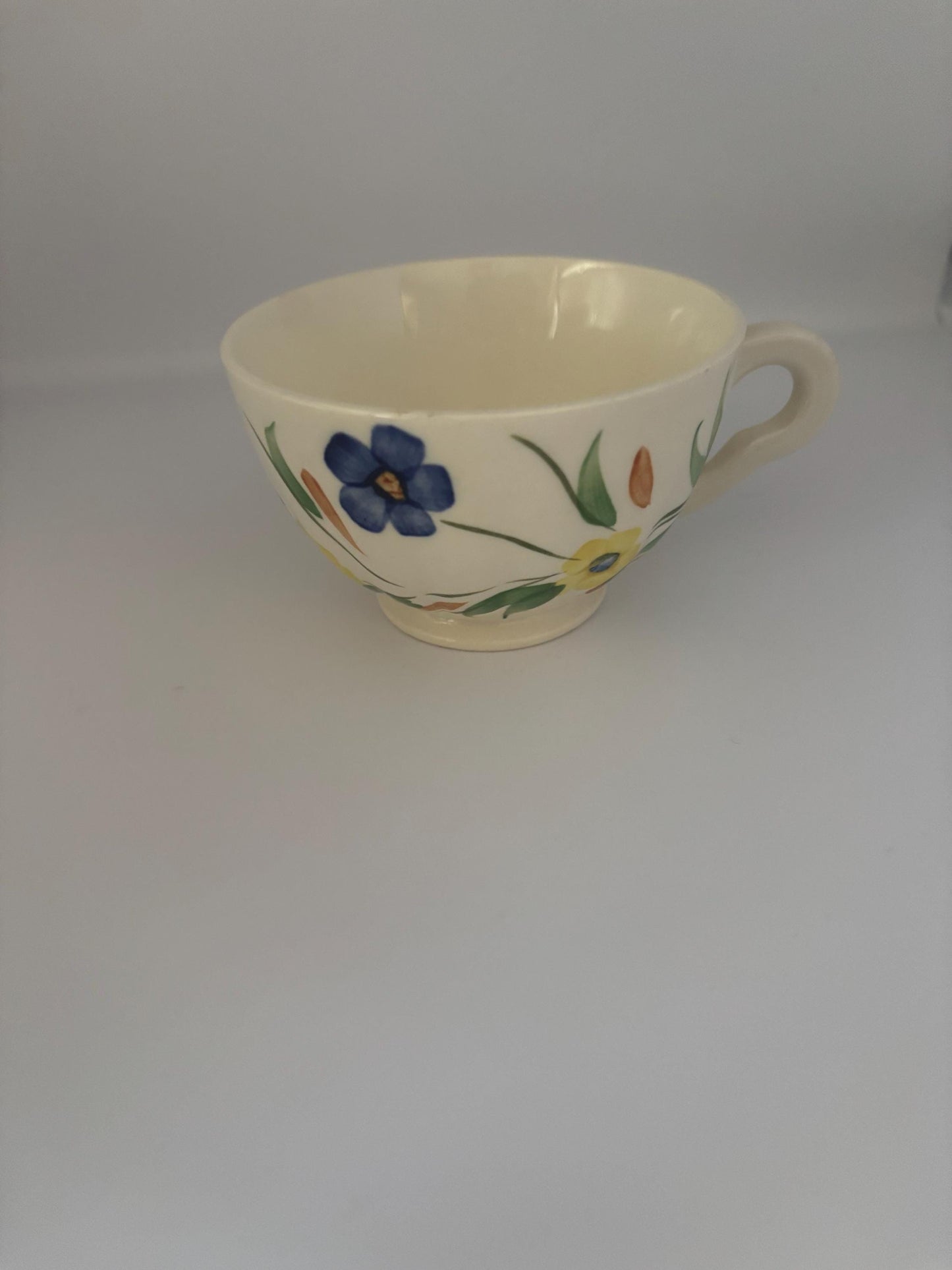 Blue Ridge Southern Potteries Coffee Mug, Summer Flowers Teacup, Lover Antiques and Vintage
