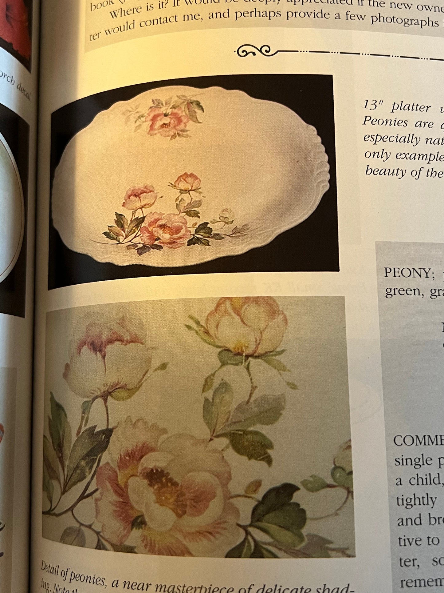 Collector’s Guide to Homer Laughlin’s Virginia Rose China Book Identification & Values Book Richard G. Racheter Lover Antiques and Vintage