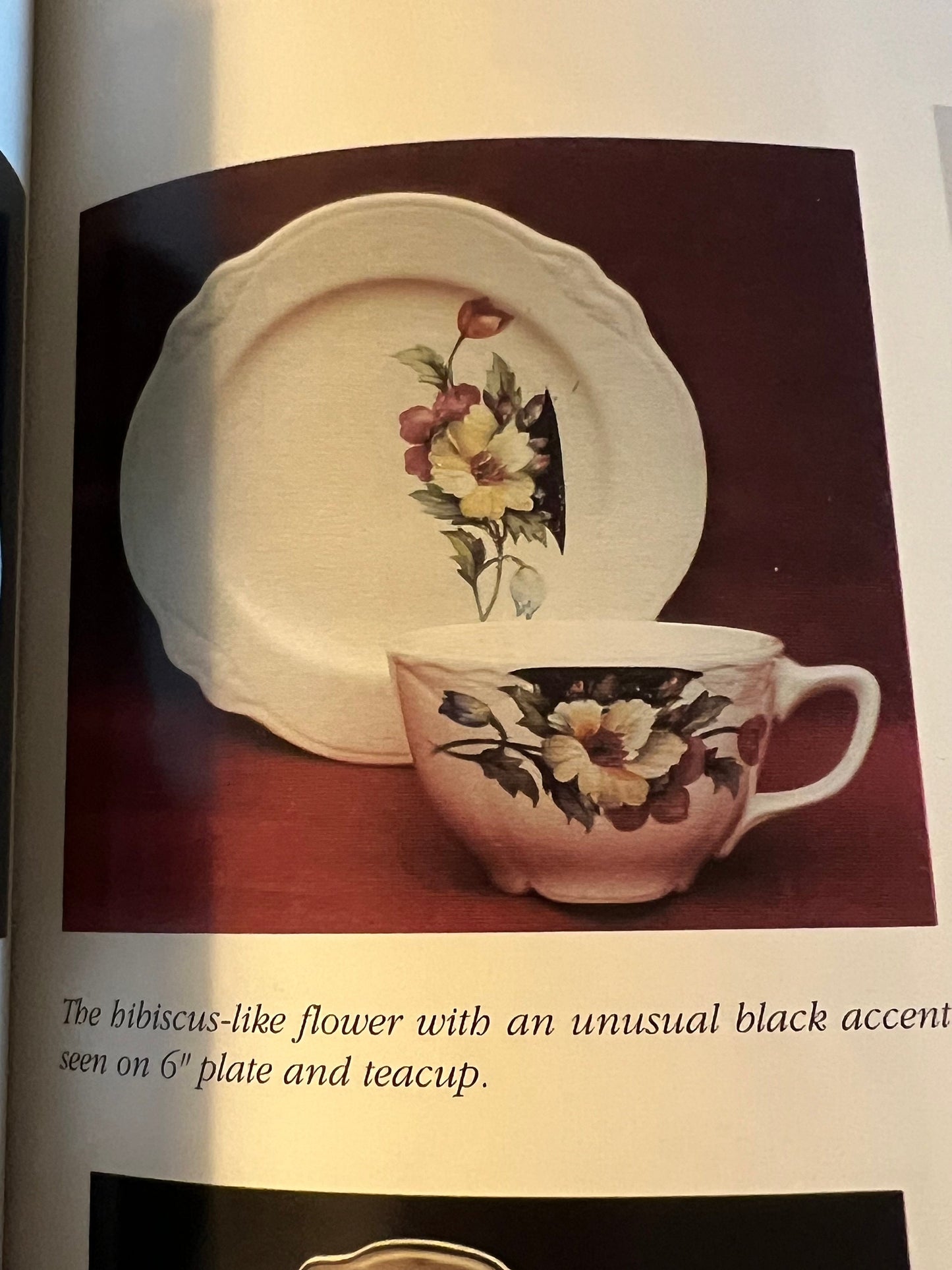 Collector’s Guide to Homer Laughlin’s Virginia Rose China Book Identification & Values Book Richard G. Racheter Lover Antiques and Vintage