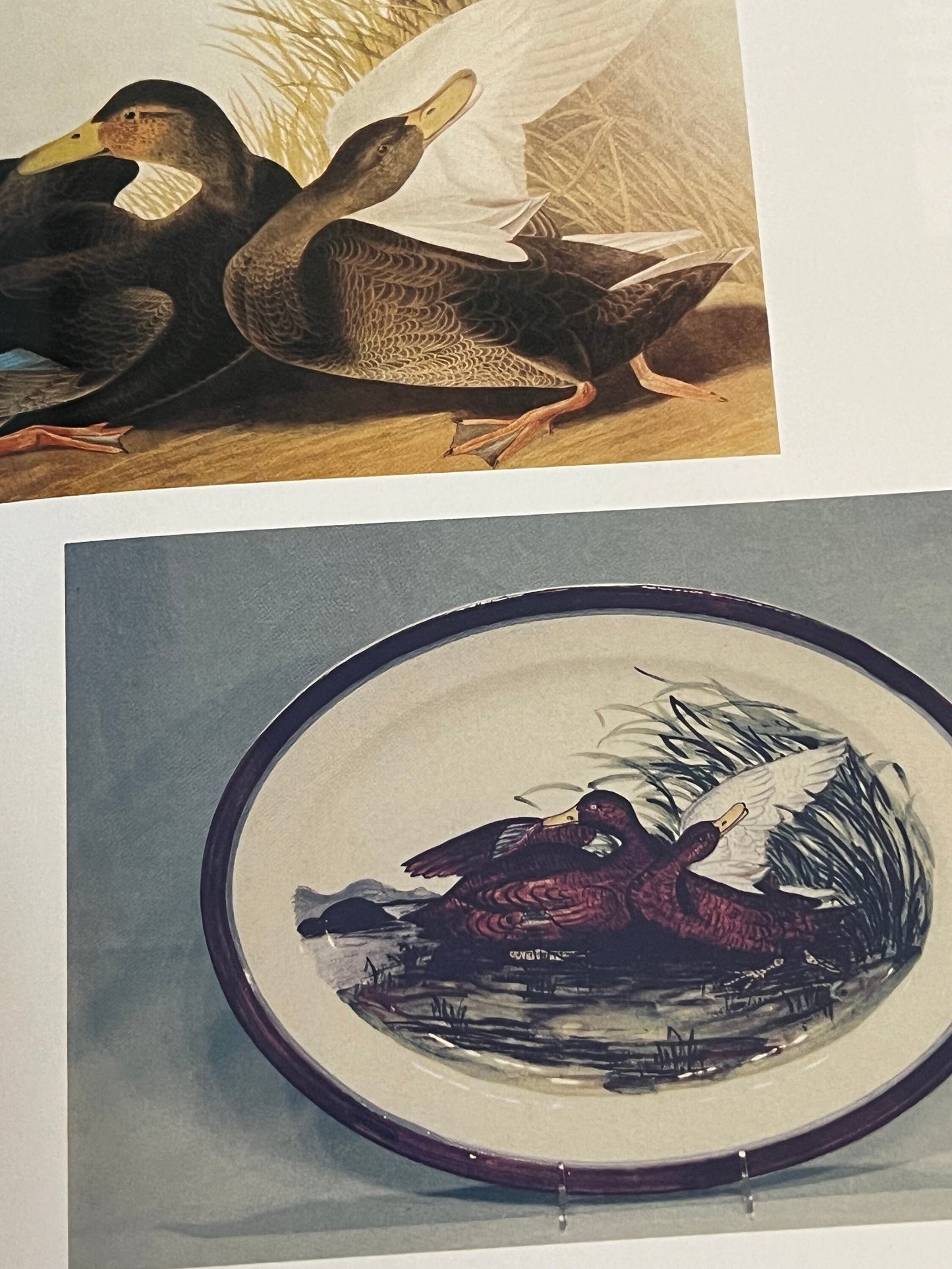 Collector’s Encyclopedia of Blue Ridge Dinnerware Identification & Values Guide Book by Betty Bill Newbound Lover Antiques and Vintage