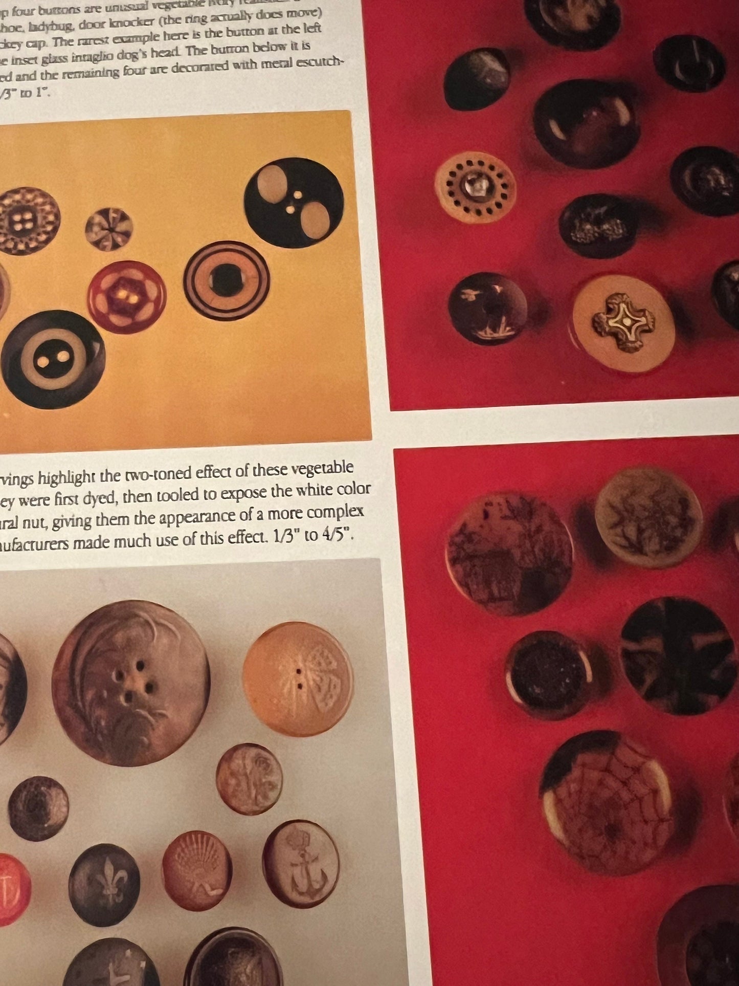 Vintage Fun Buttons with Price Guide Book, Collector Buttons Book, by Peggy Ann Osborne, Button Book, Lover Antiques and Vintage