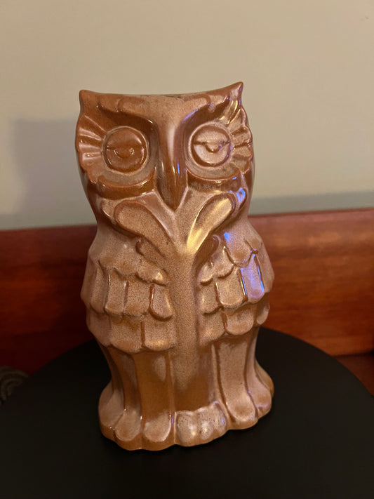 Vintage Frankoma Owl Pottery Bank, Frankoma Pottery Owl, Sand Brown Owl Bank by Frankoma, Lover Antiques and Vintage