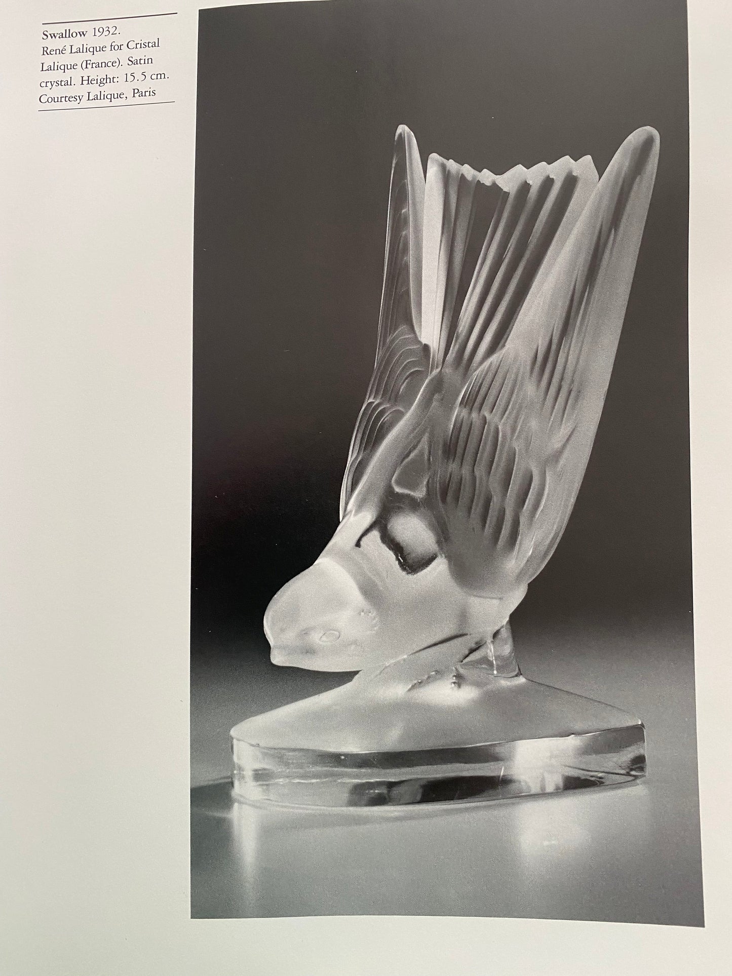 Glass Animals 3500 Years of Artistry and Design Book, by Albane Dolez, Lover Antiques and Vintage
