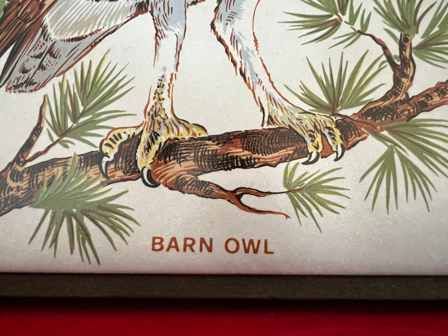 Vintage Barn Owl Tile on Wood Wall Hanging, Plaque Owl With Hook, Lover Antiques and Vintage