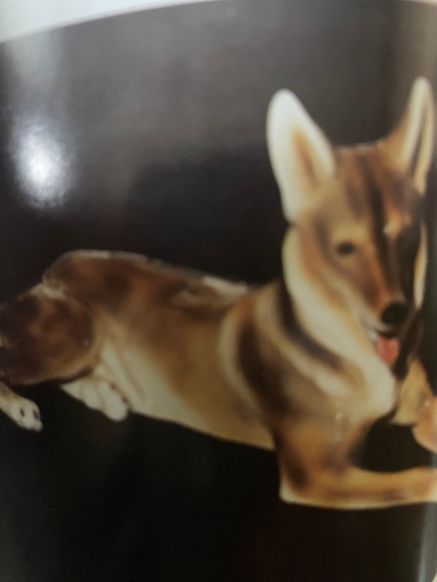 Animal Figures with Price Guide Book, by Mike Schneider, Lover Antiques and Vintage