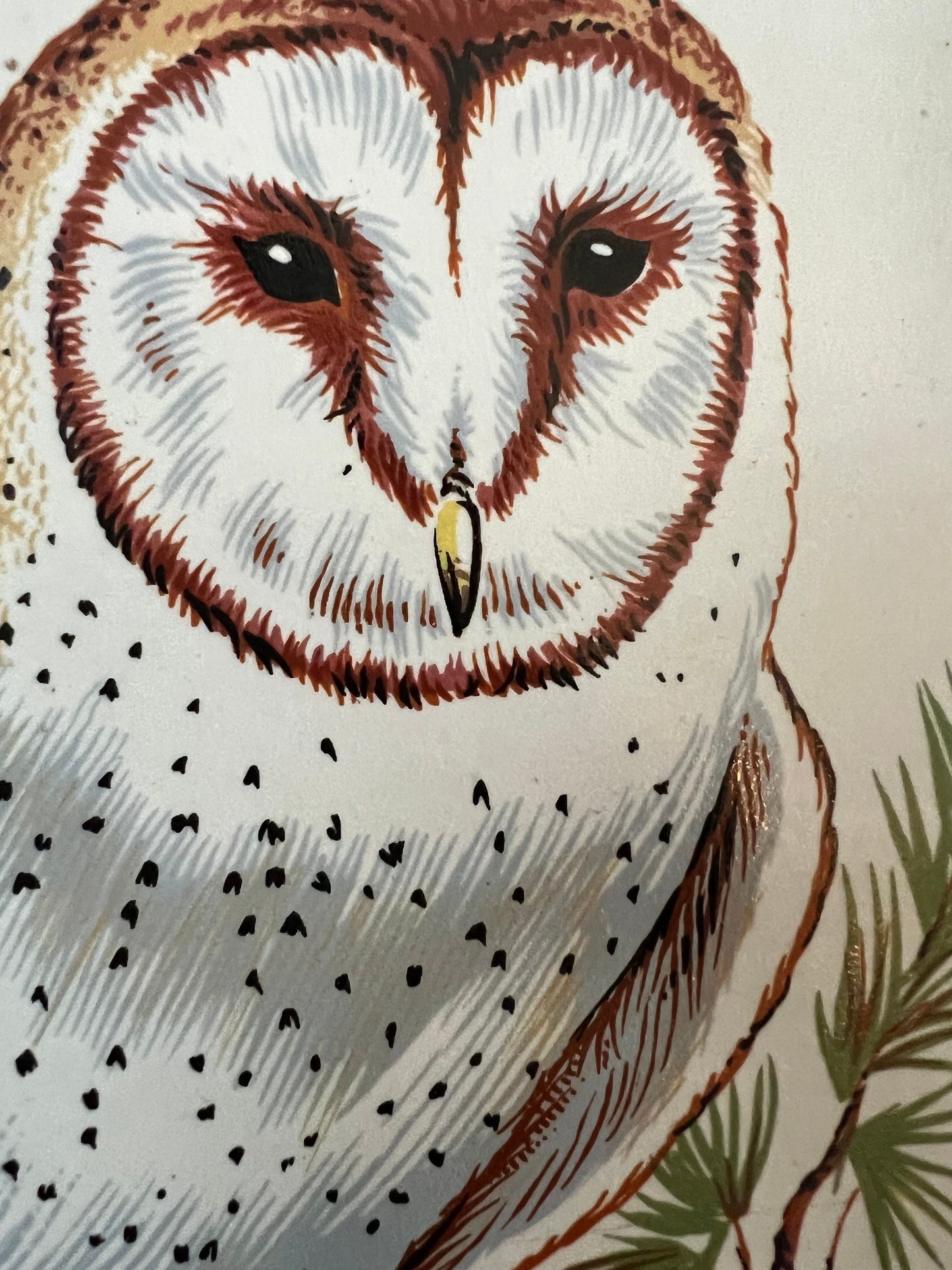 Vintage Barn Owl Tile on Wood Wall Hanging, Plaque Owl With Hook, Lover Antiques and Vintage