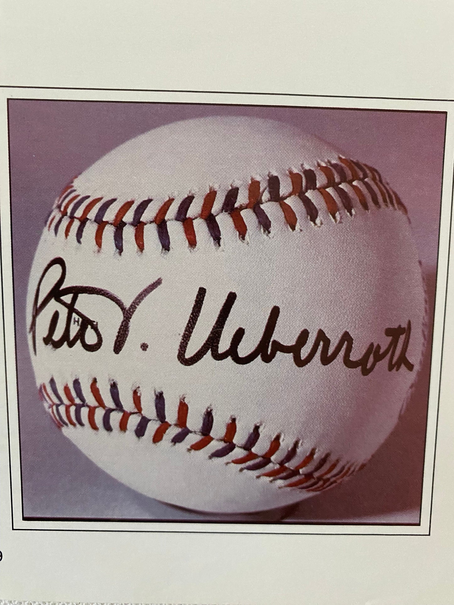 Collector’s Guide to Baseball Memorabilia Book, by Don Raycraft and Stew Salowitz, Lover Antiques and Vintage