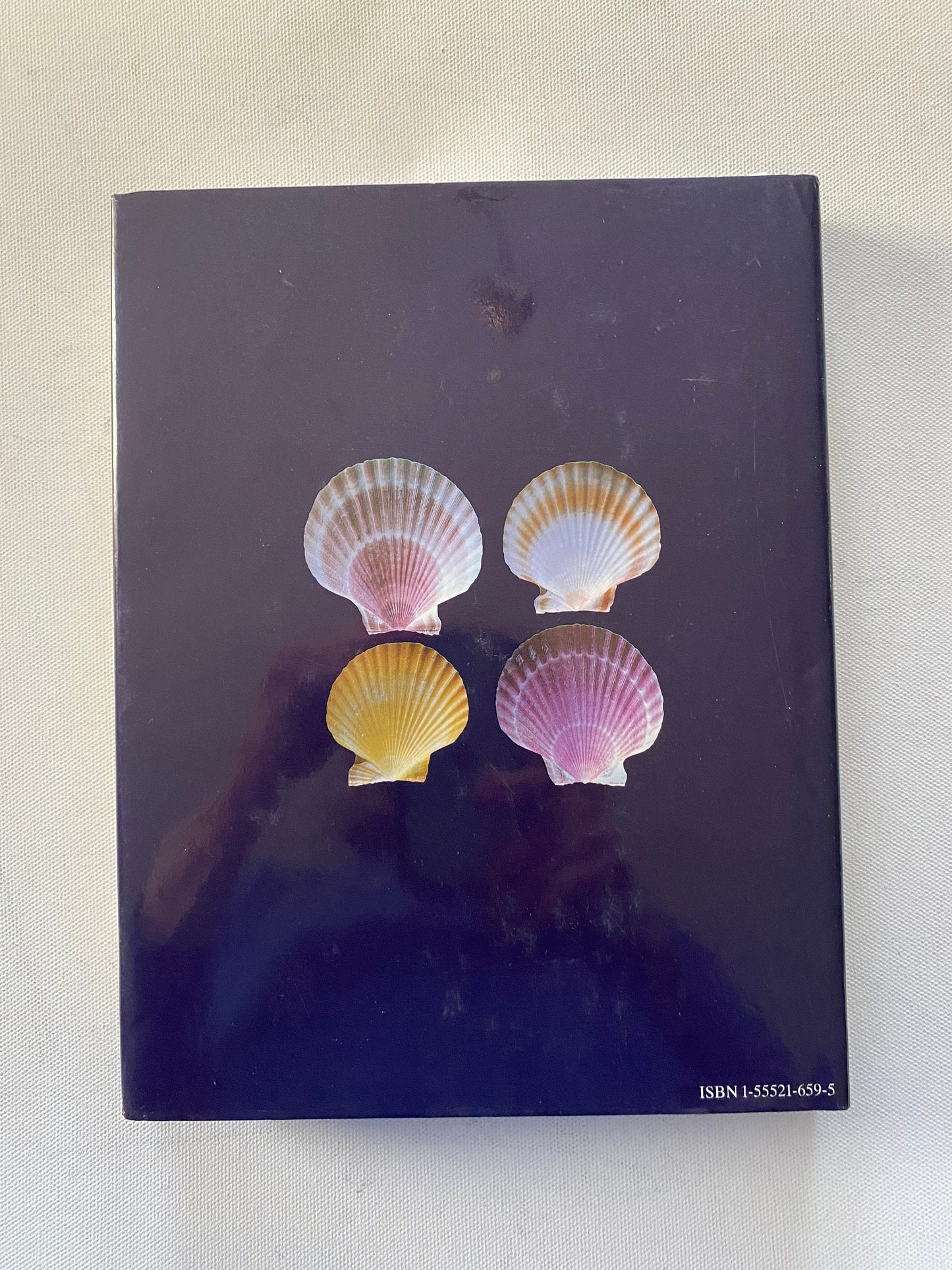 The Collector’s Encyclopedia of Shells Book, by S. Peter Dance, Lover Antiques and Vintage