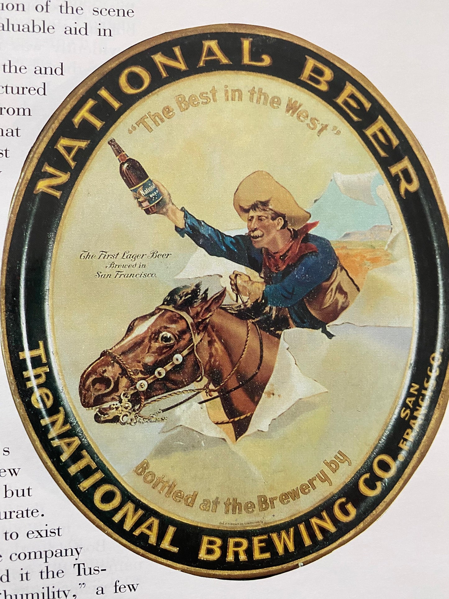 The World of Beer Memorabilia Identification & Value Guide Book, by Herb and Helen Haydock, Lover Antiques and Vintage