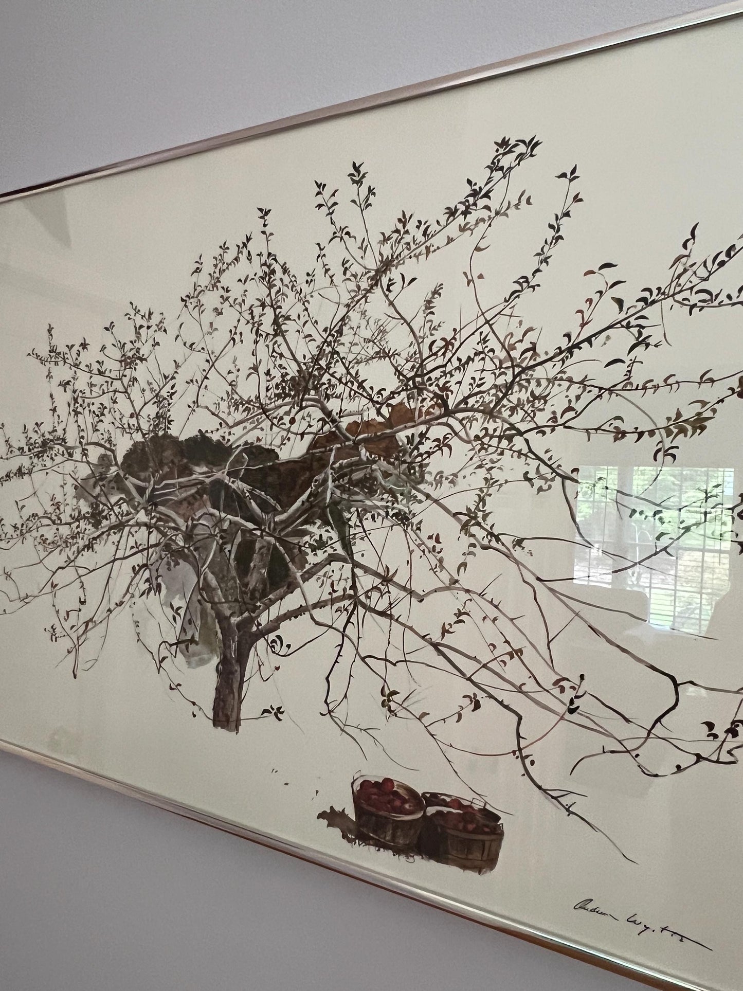Andrew Wyeth Rare 1977 “After Picking” Collector Large Fine Art Lithograph Print Lover Antiques and Vintage