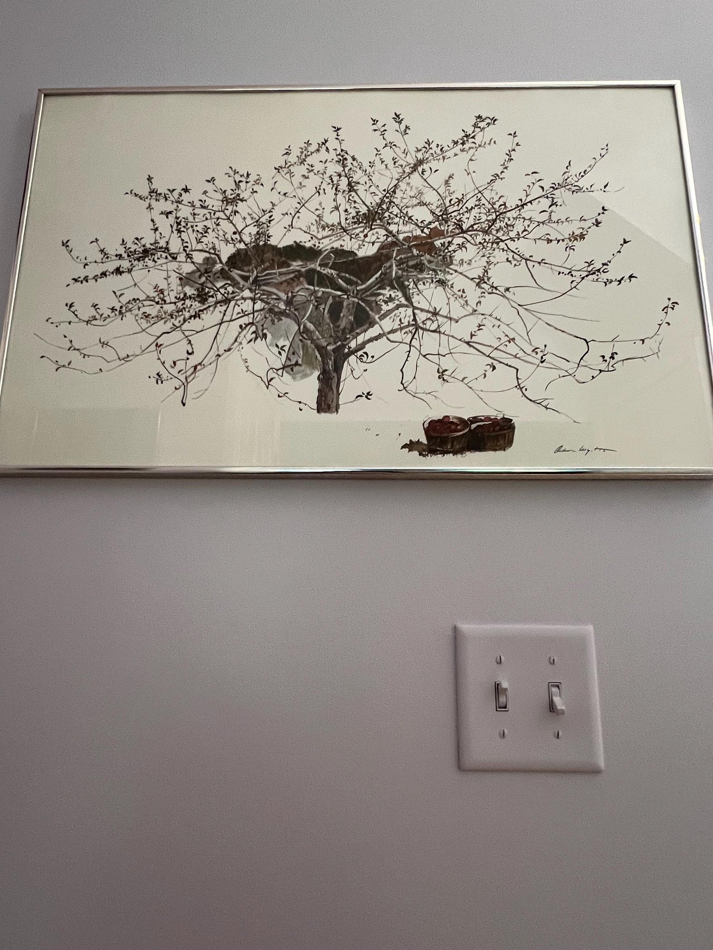 Andrew Wyeth Rare 1977 “After Picking” Collector Large Fine Art Lithograph Print Lover Antiques and Vintage