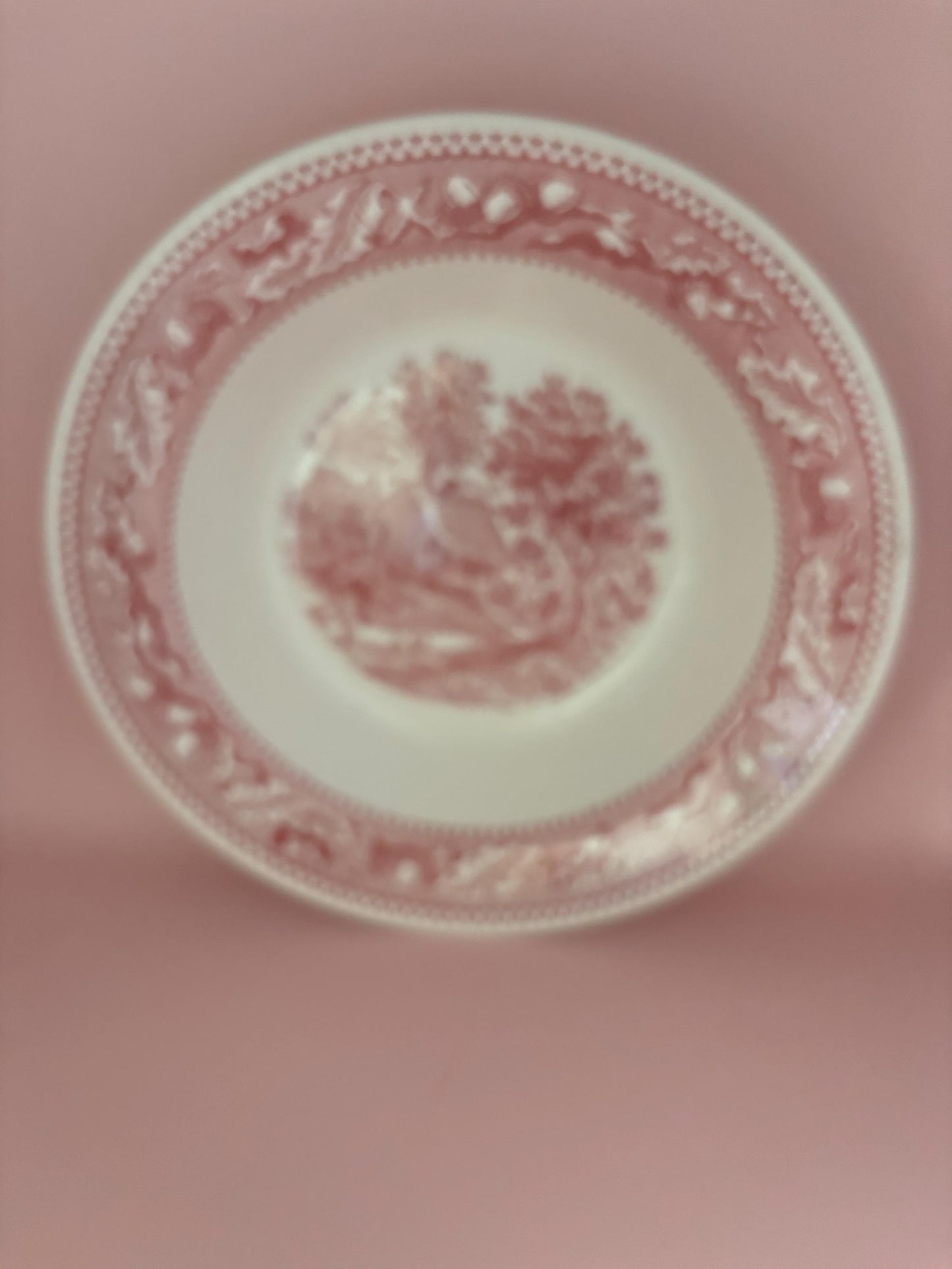 Vintage Royal Ironstone Red Plate Memory Lane Large Red Bowl Platter Lover Antiques and Vintage