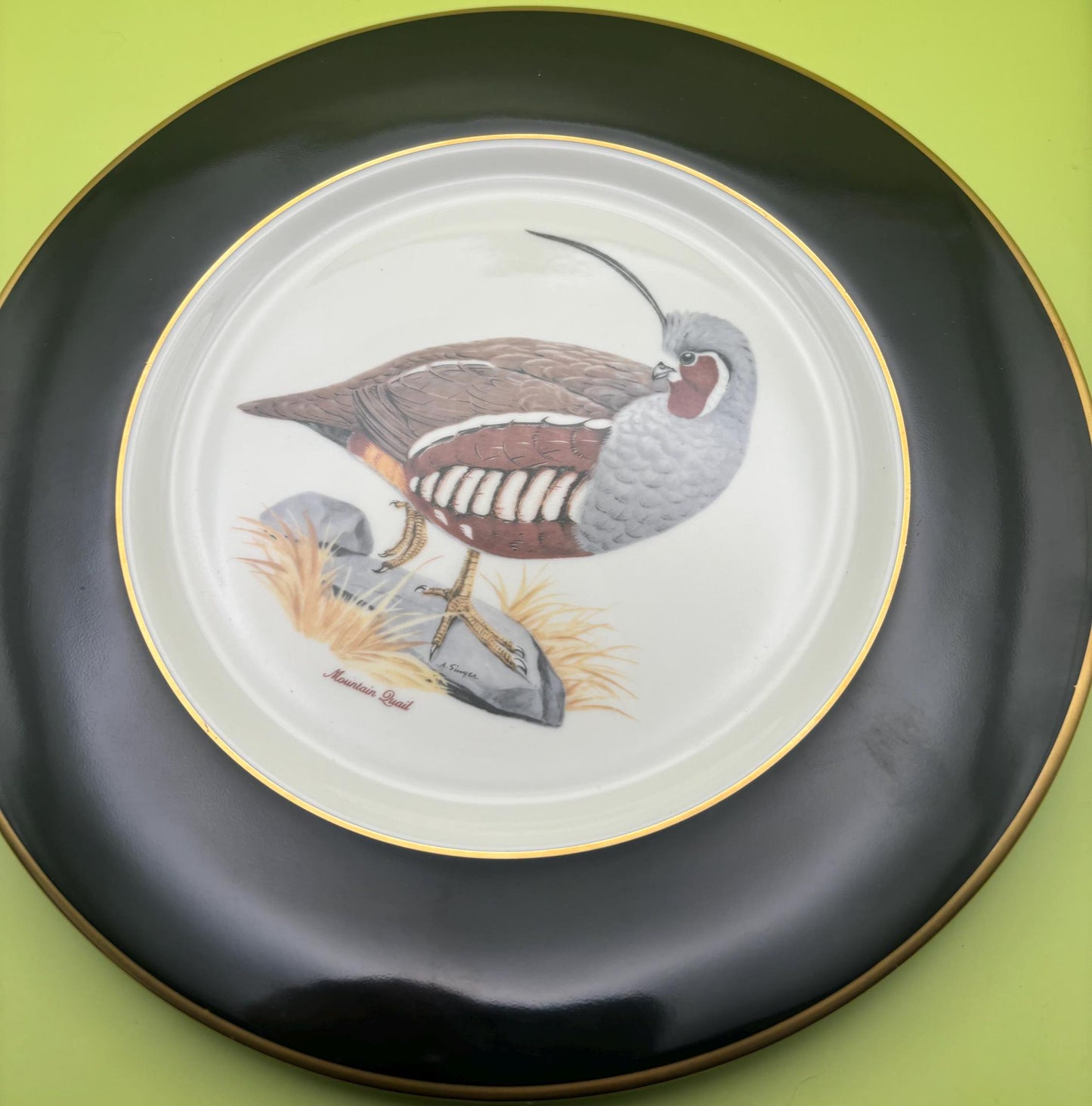 Vintage Shenango Fine China USA American Game Birds by Castleton USA Dinner Plate
