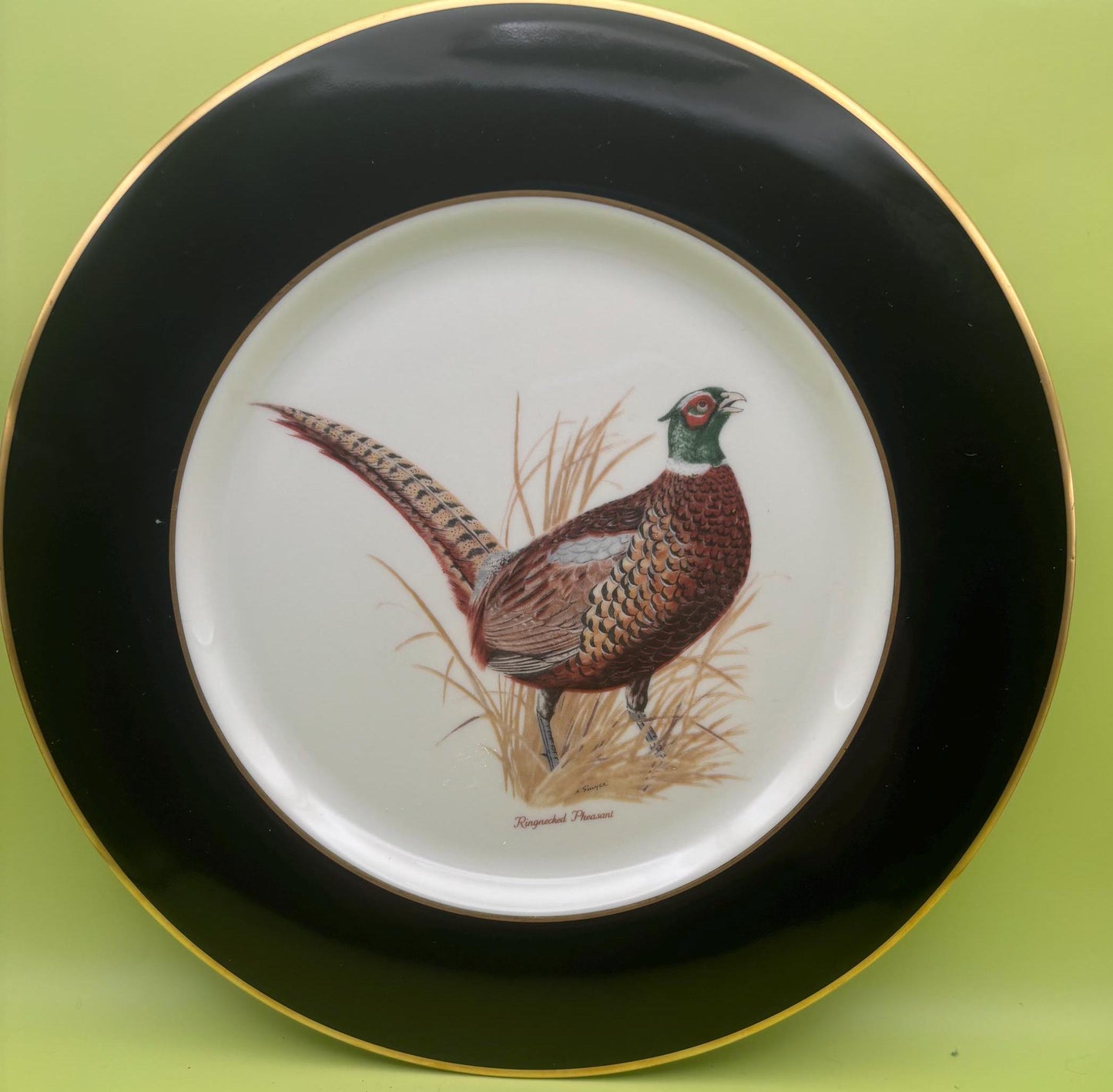 Vintage Shenango Fine China USA American Game Birds by Castleton USA Dinner Plate