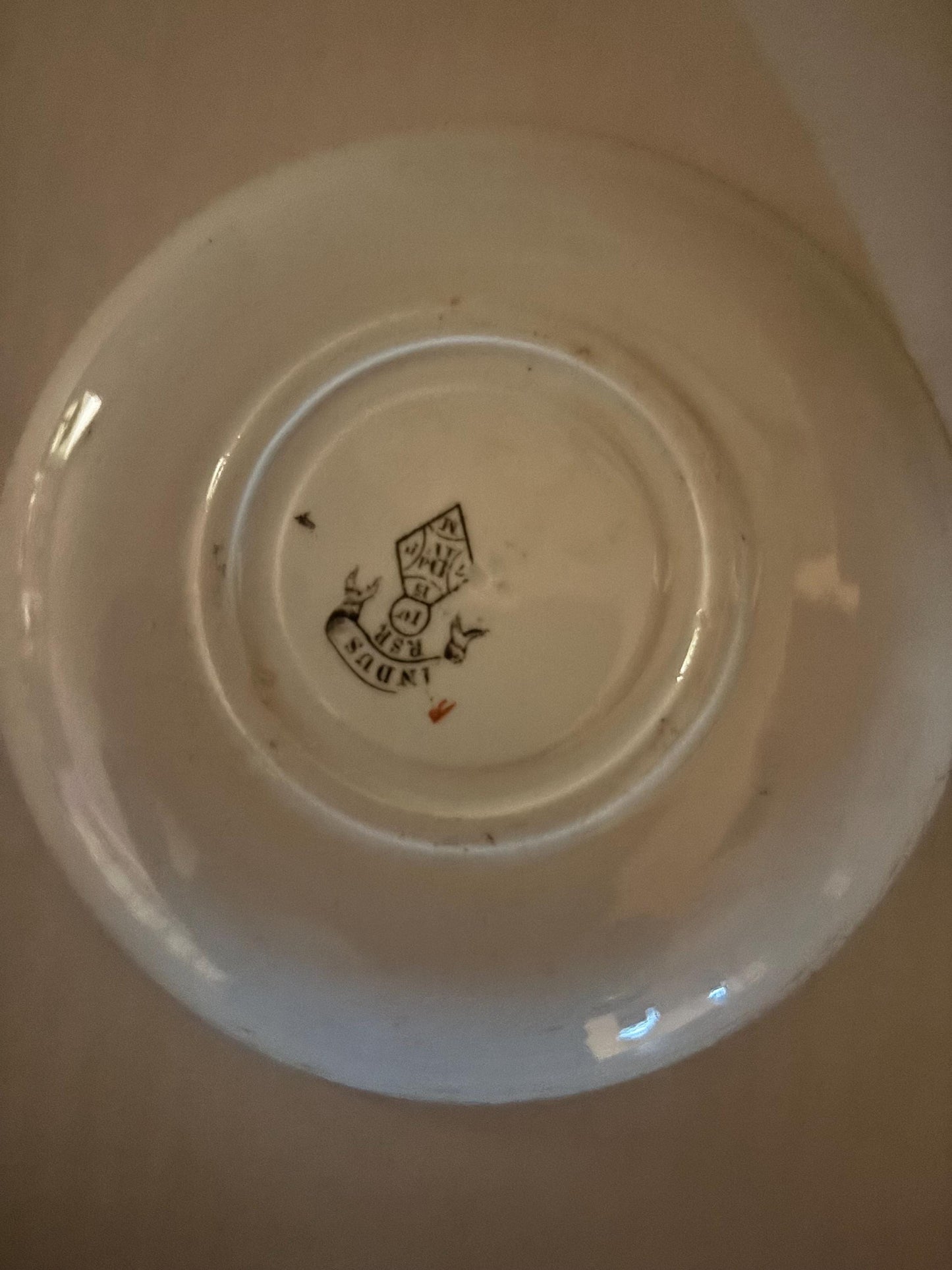 Antique Hand Painted Porcelain Tea Cup and Saucer RARE & Beautiful! Lover Antiques and Vintage