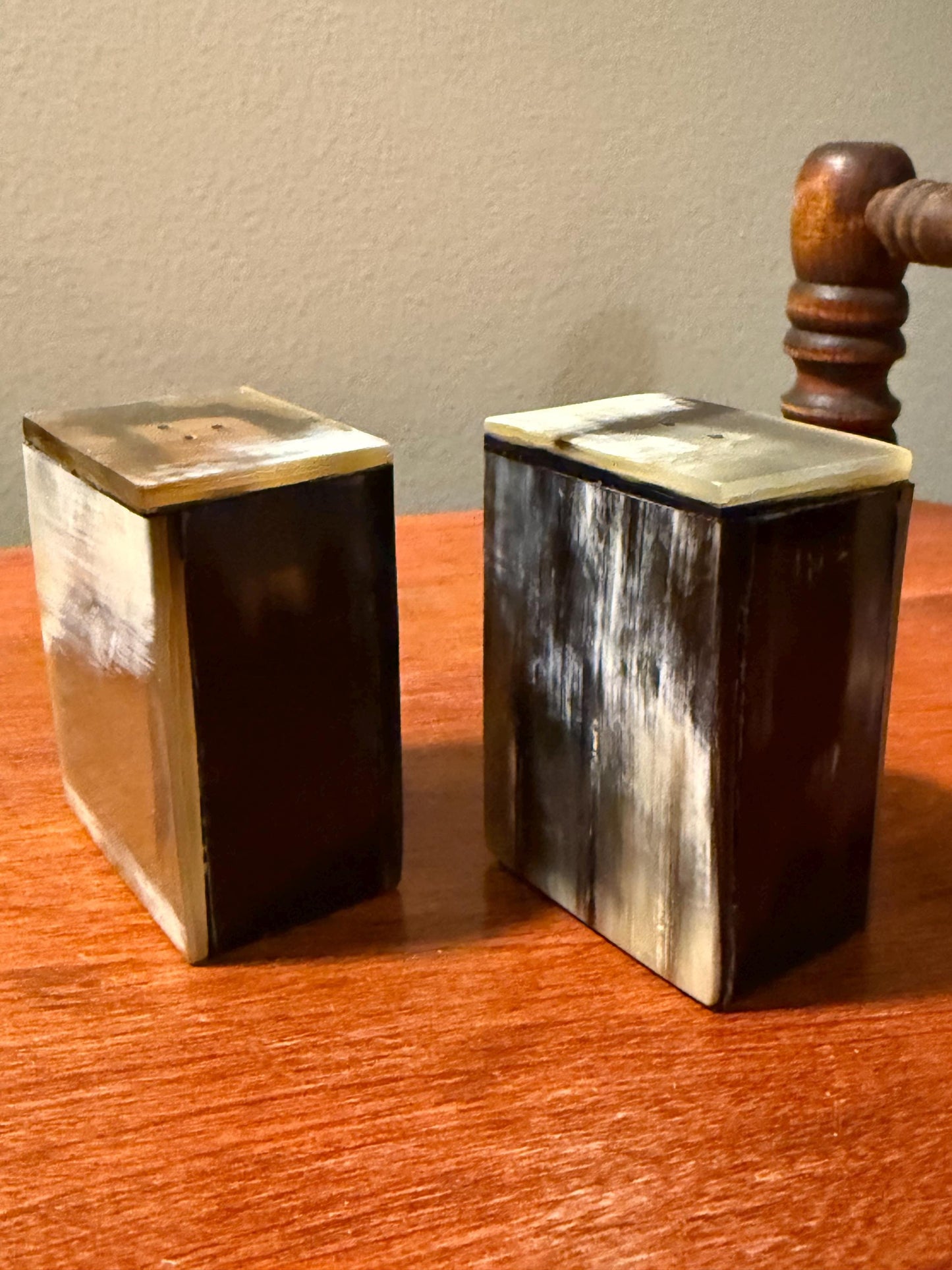 Vintage Salt and Pepper Shakers Made of Shell Never Used Lover Antiques