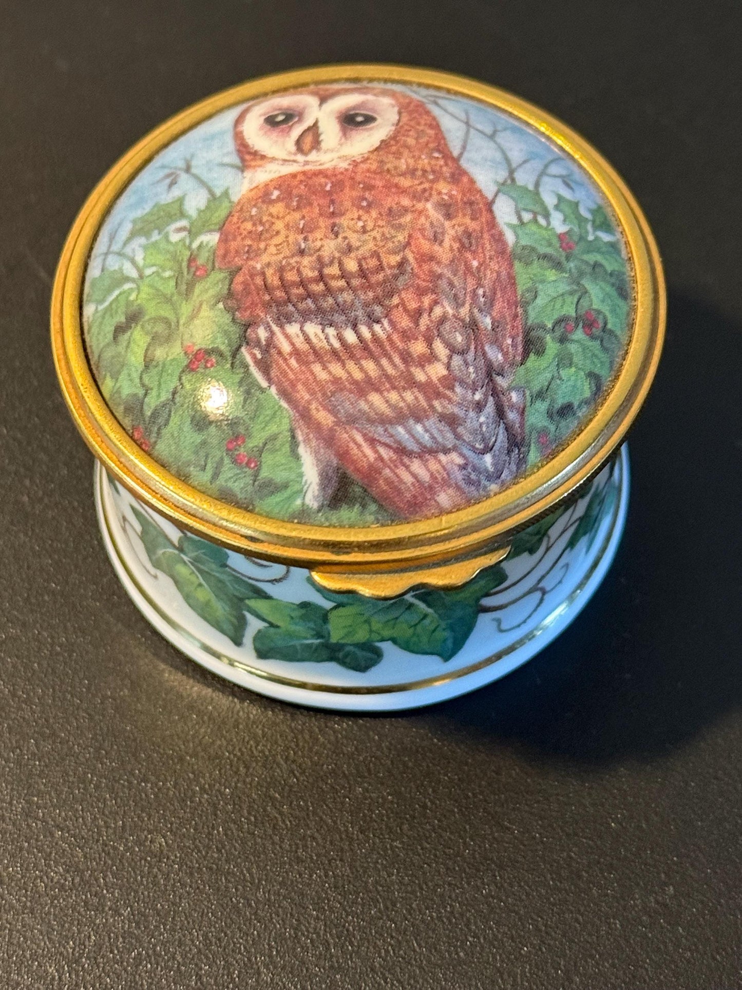 Vintage Barn Owl Trinket Box by Tyto Alba Fine Bone China Enamel Owl Box Made in England Lover Antiques and Vintage