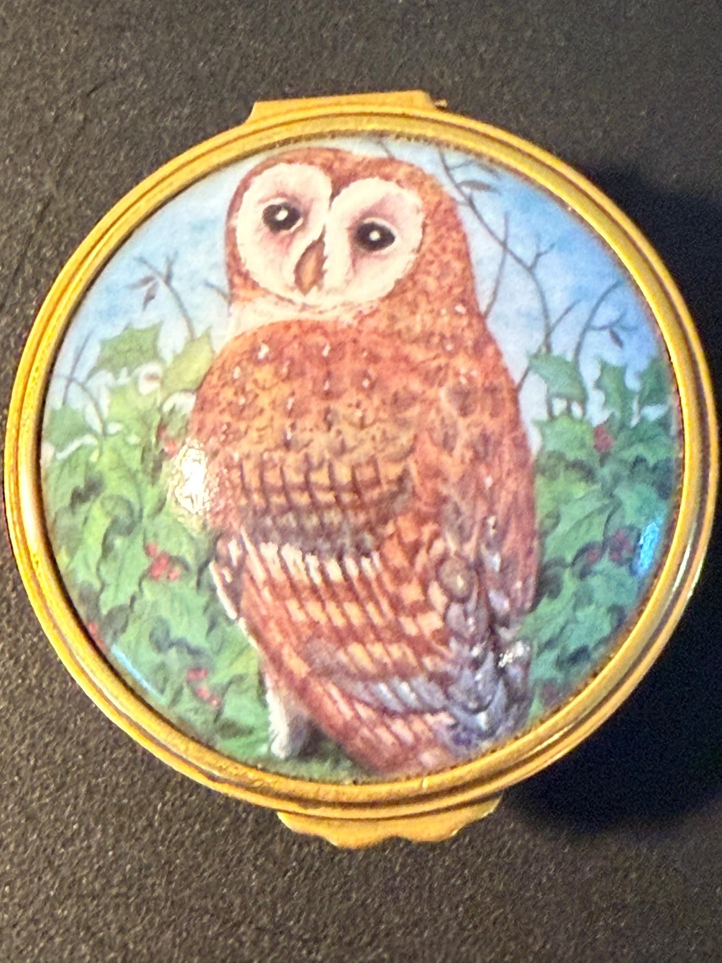 Vintage Barn Owl Trinket Box by Tyto Alba Fine Bone China Enamel Owl Box Made in England Lover Antiques and Vintage