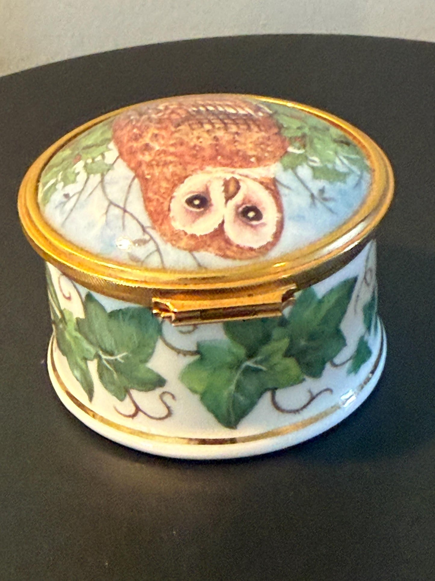 Vintage Barn Owl Trinket Box by Tyto Alba Fine Bone China Enamel Owl Box Made in England Lover Antiques and Vintage