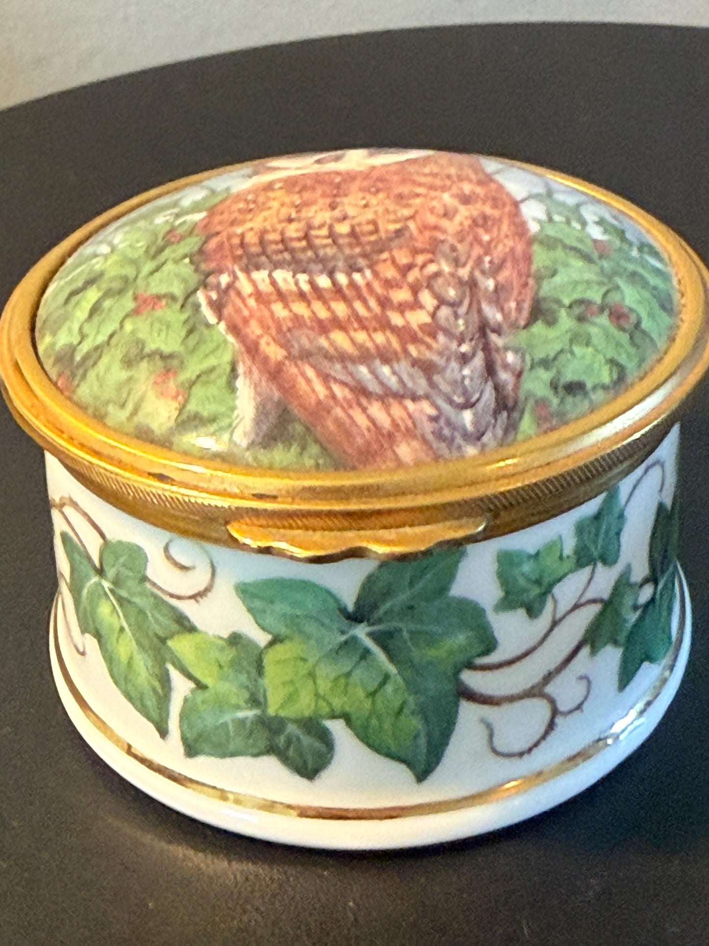 Vintage Barn Owl Trinket Box by Tyto Alba Fine Bone China Enamel Owl Box Made in England Lover Antiques and Vintage