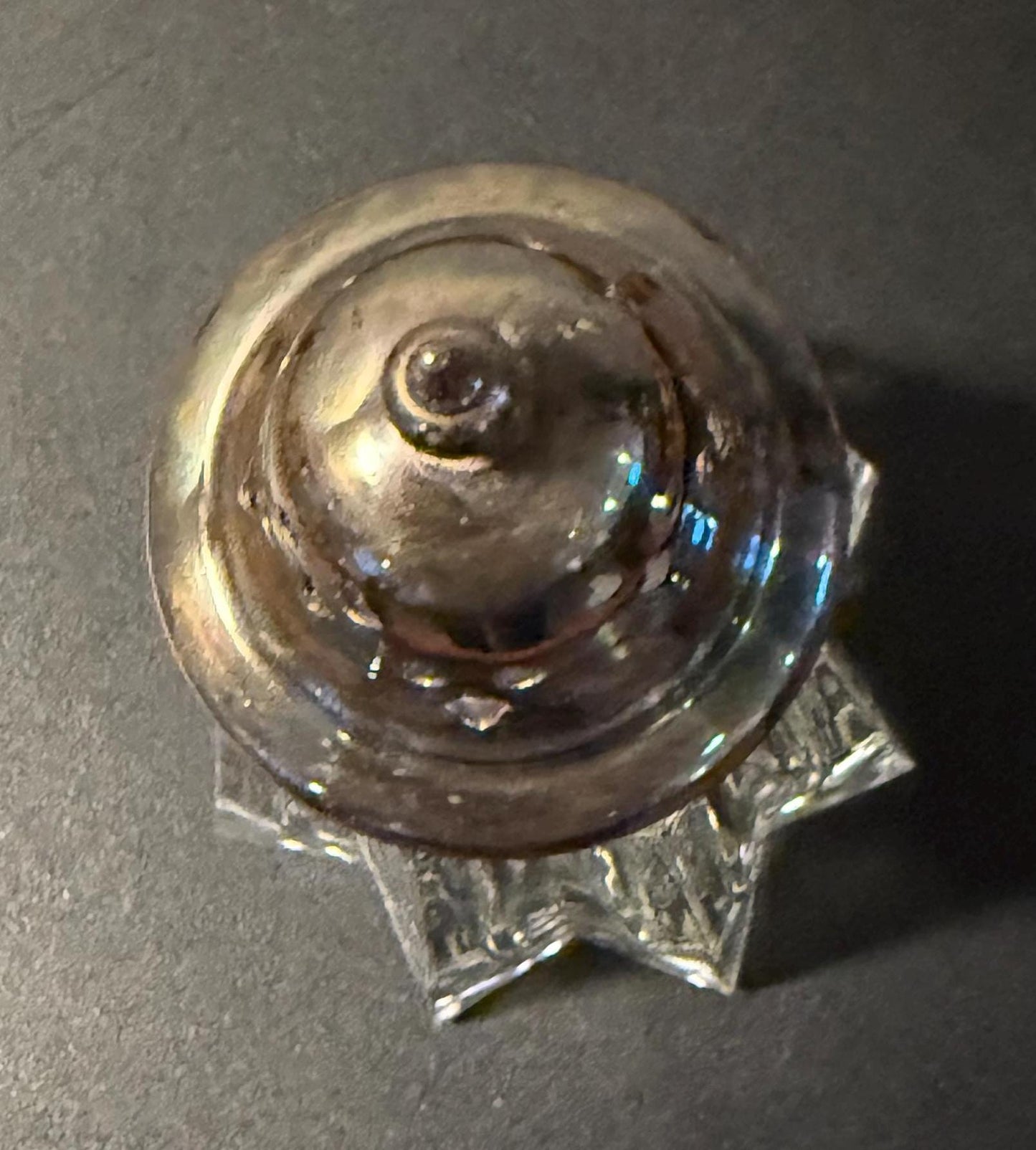 Antique Sandwich Glass Sugar Shaker or Muffineer Crystal Starburst Bottom Glass Lover Antiques and Vintage