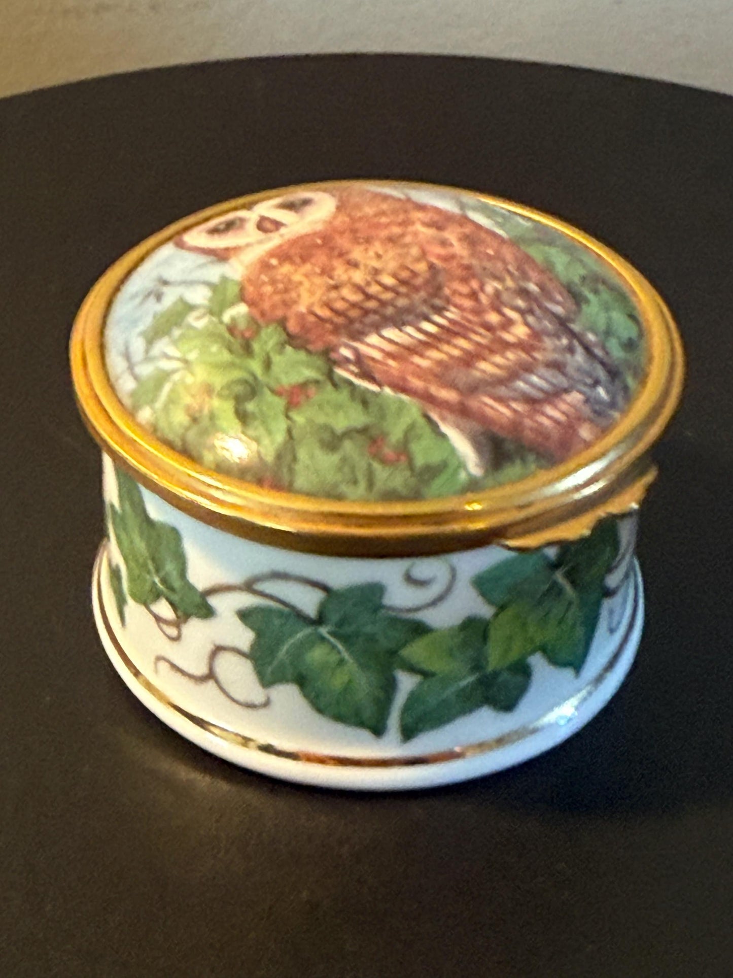 Vintage Barn Owl Trinket Box by Tyto Alba Fine Bone China Enamel Owl Box Made in England Lover Antiques and Vintage